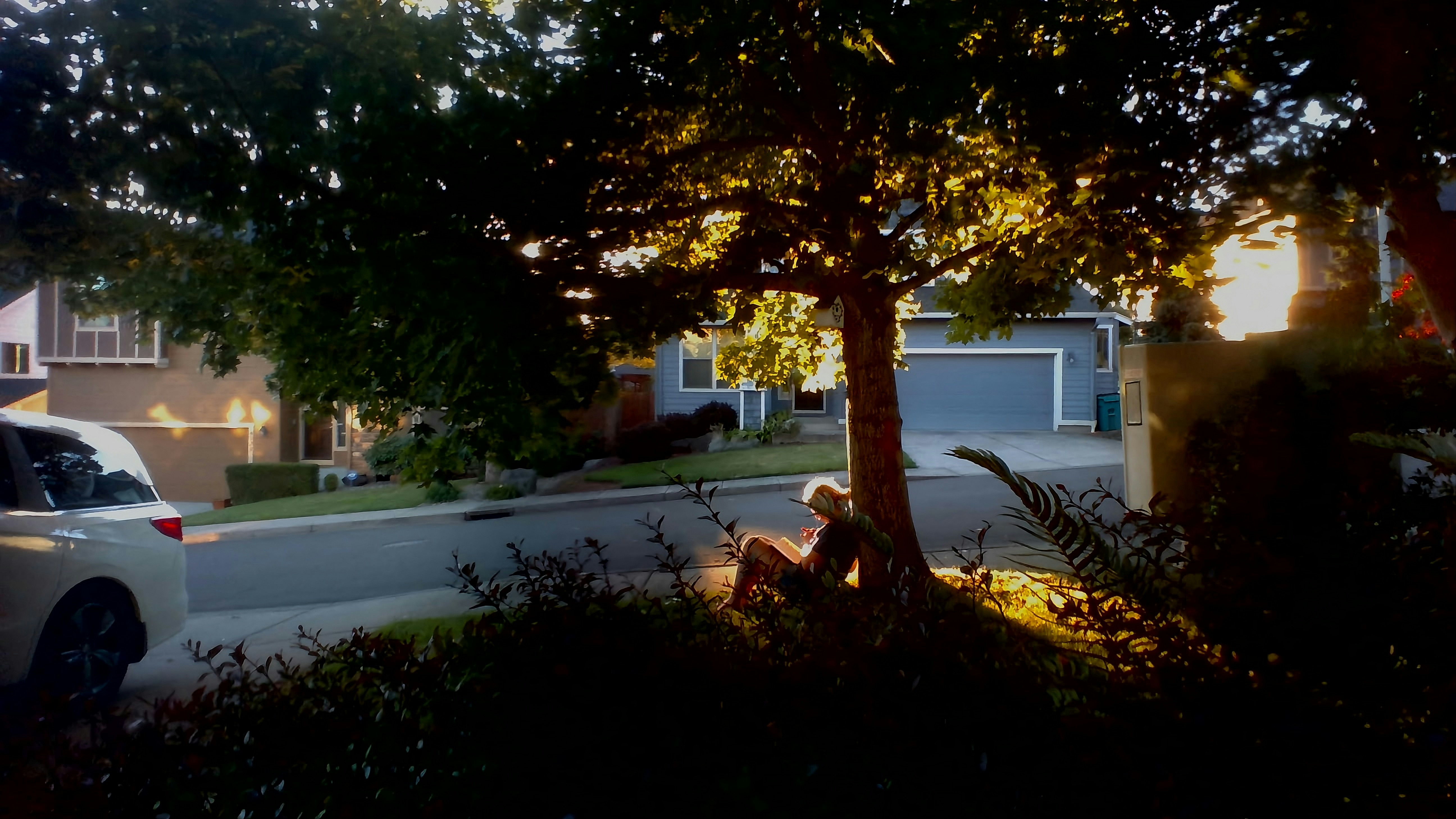 Dirt Under Your Nails and Home by Dark: The Childhood America Quietly Cancelled