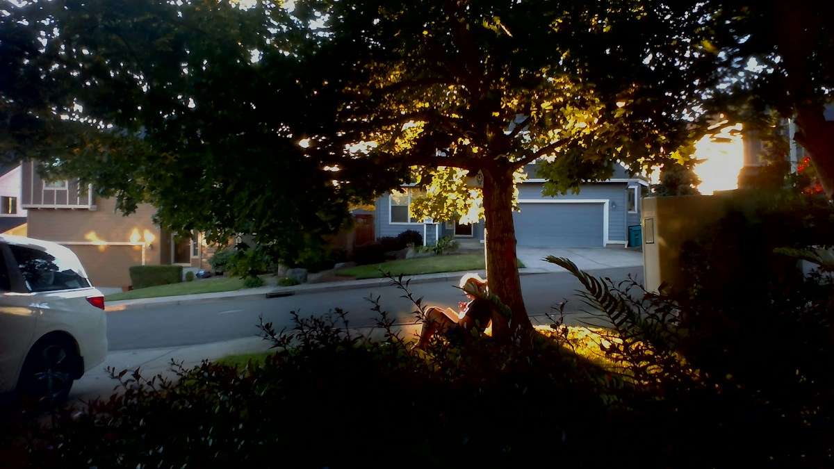 Person sitting under a tree at sunset, contemplating community service ideas for volunteers and neighborhood projects.