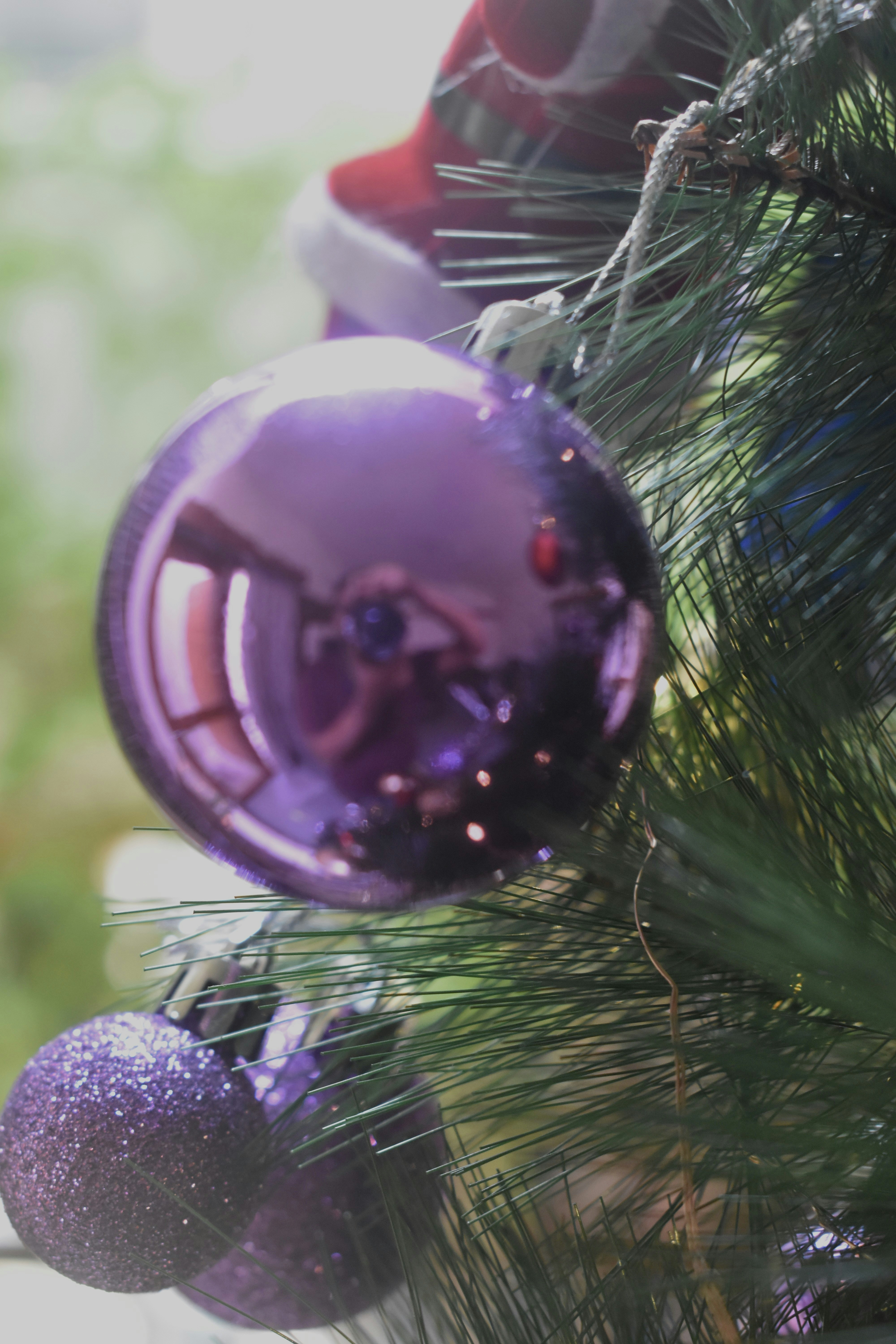 Ornamen ungu di pohon natal