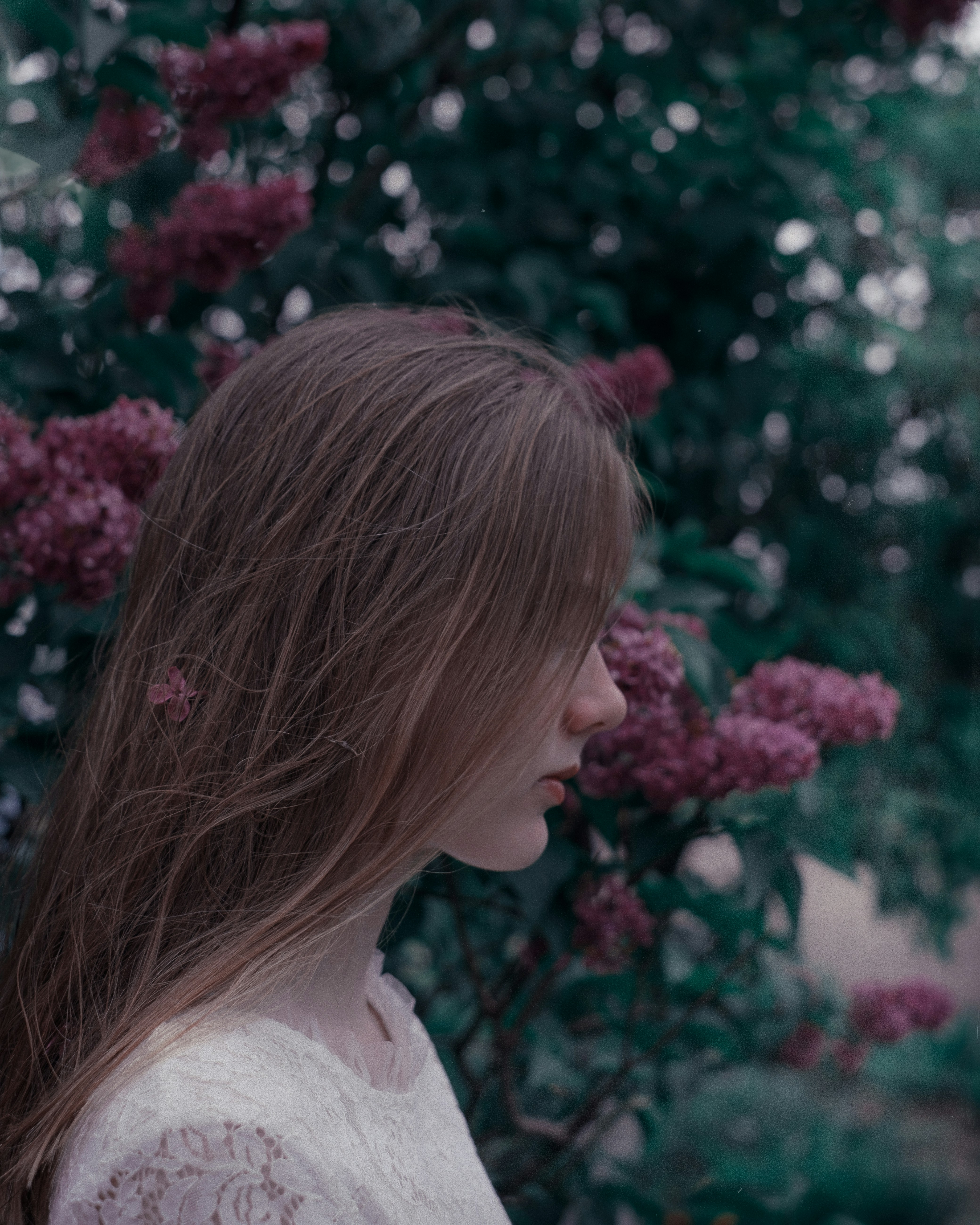 Photo by alinachernovol