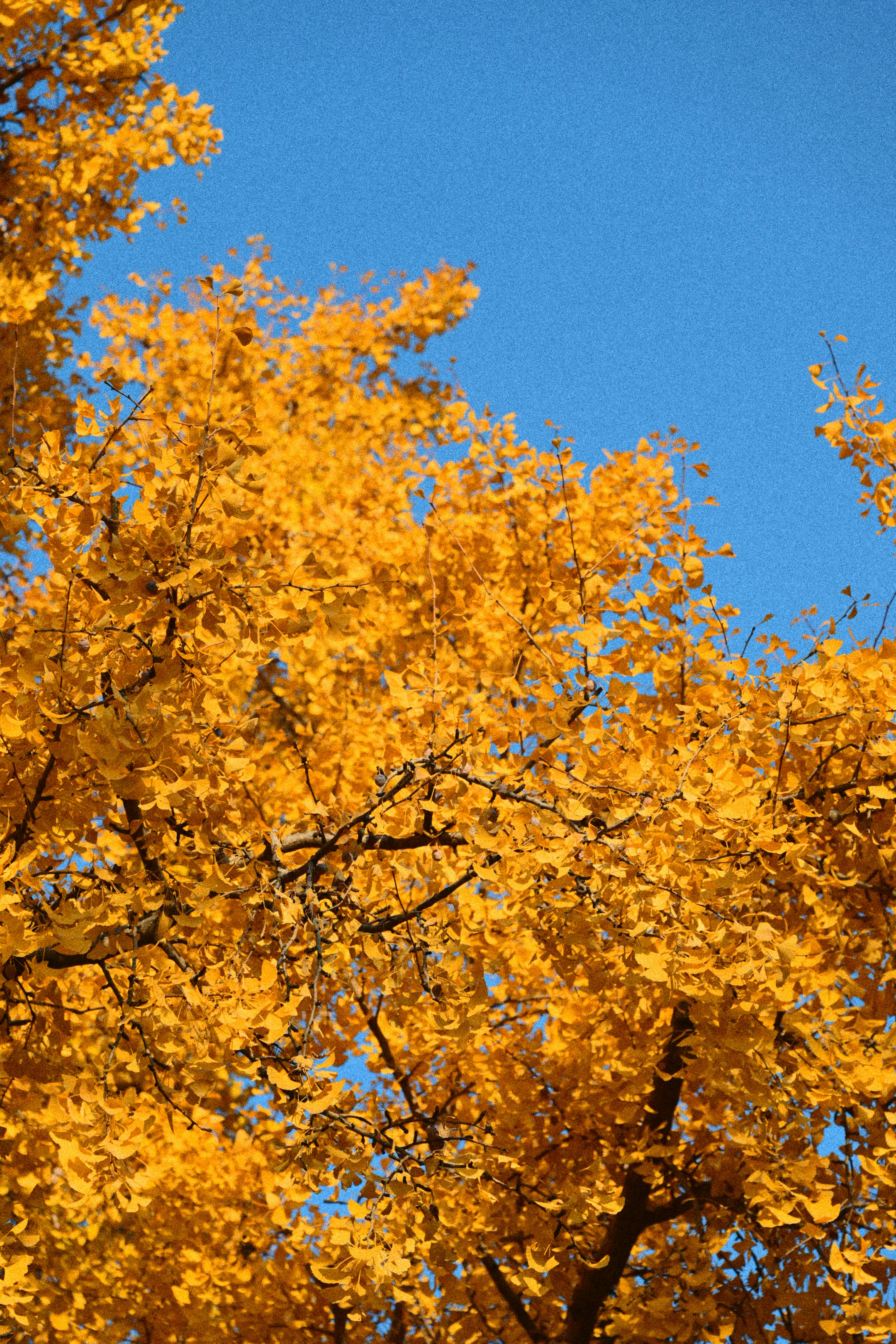 Photo by alber2albert