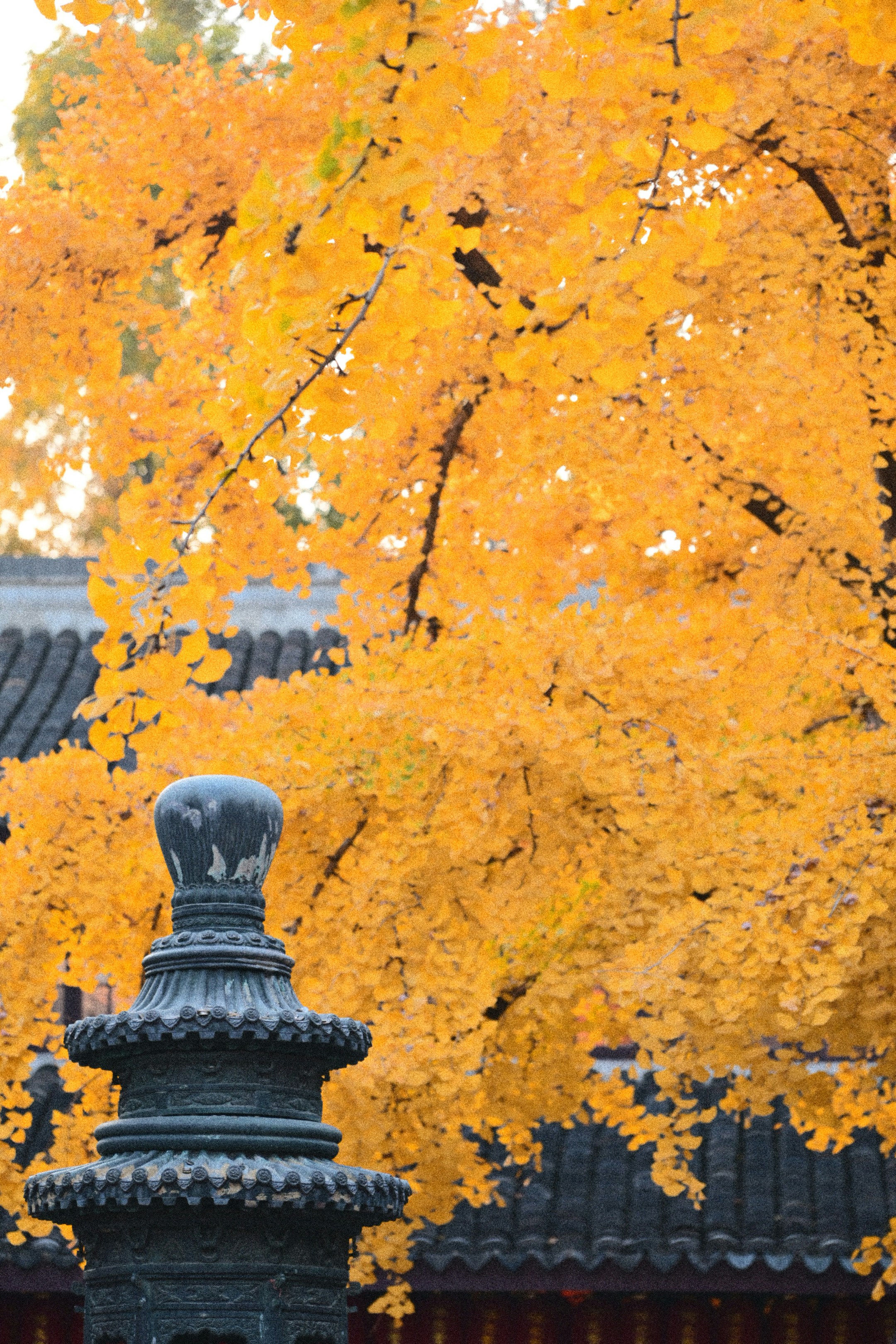 Photo by alber2albert