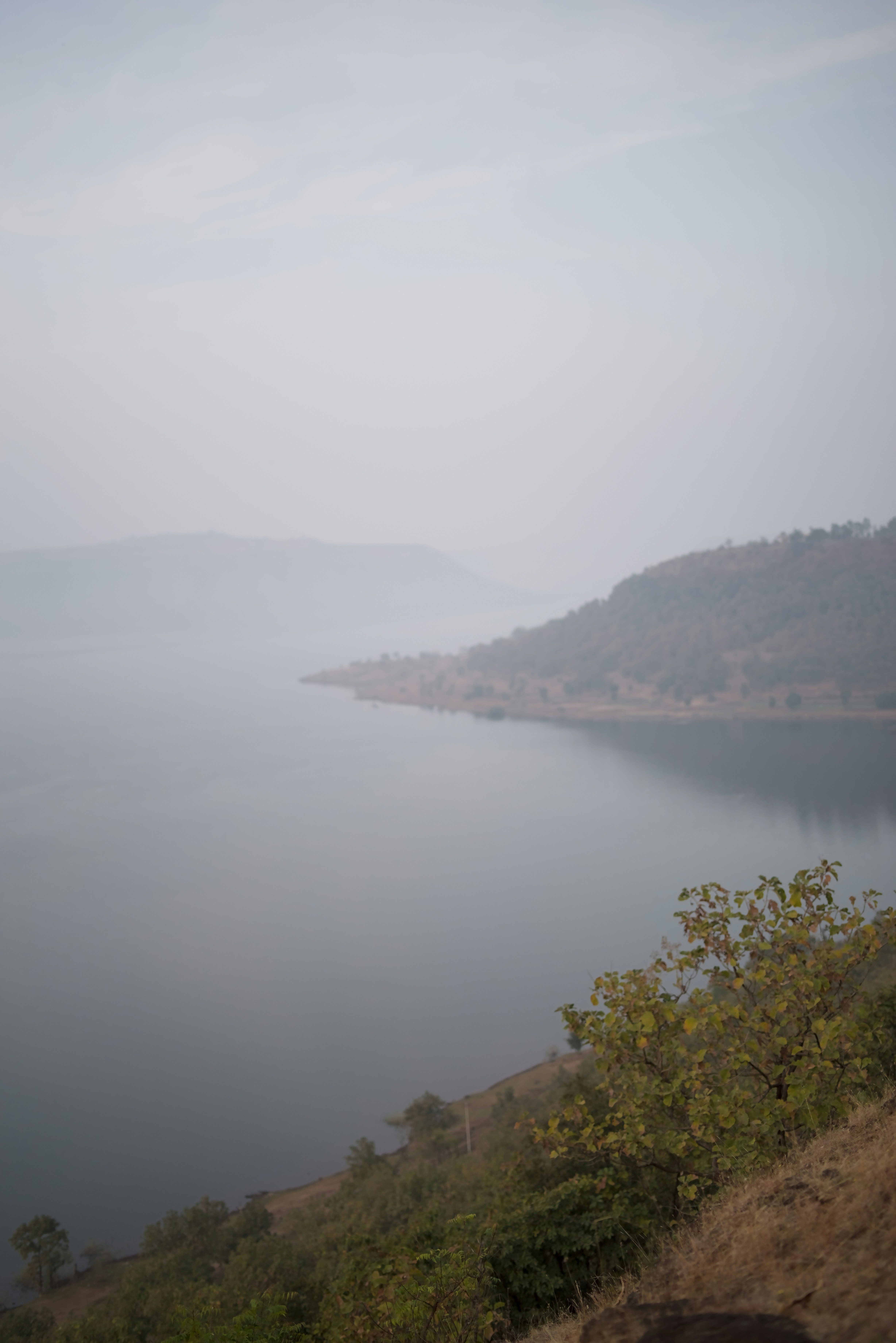 Photo by satishdharmavarapu