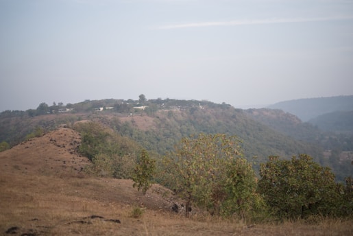 Hazy view of rolling hills with dry grass