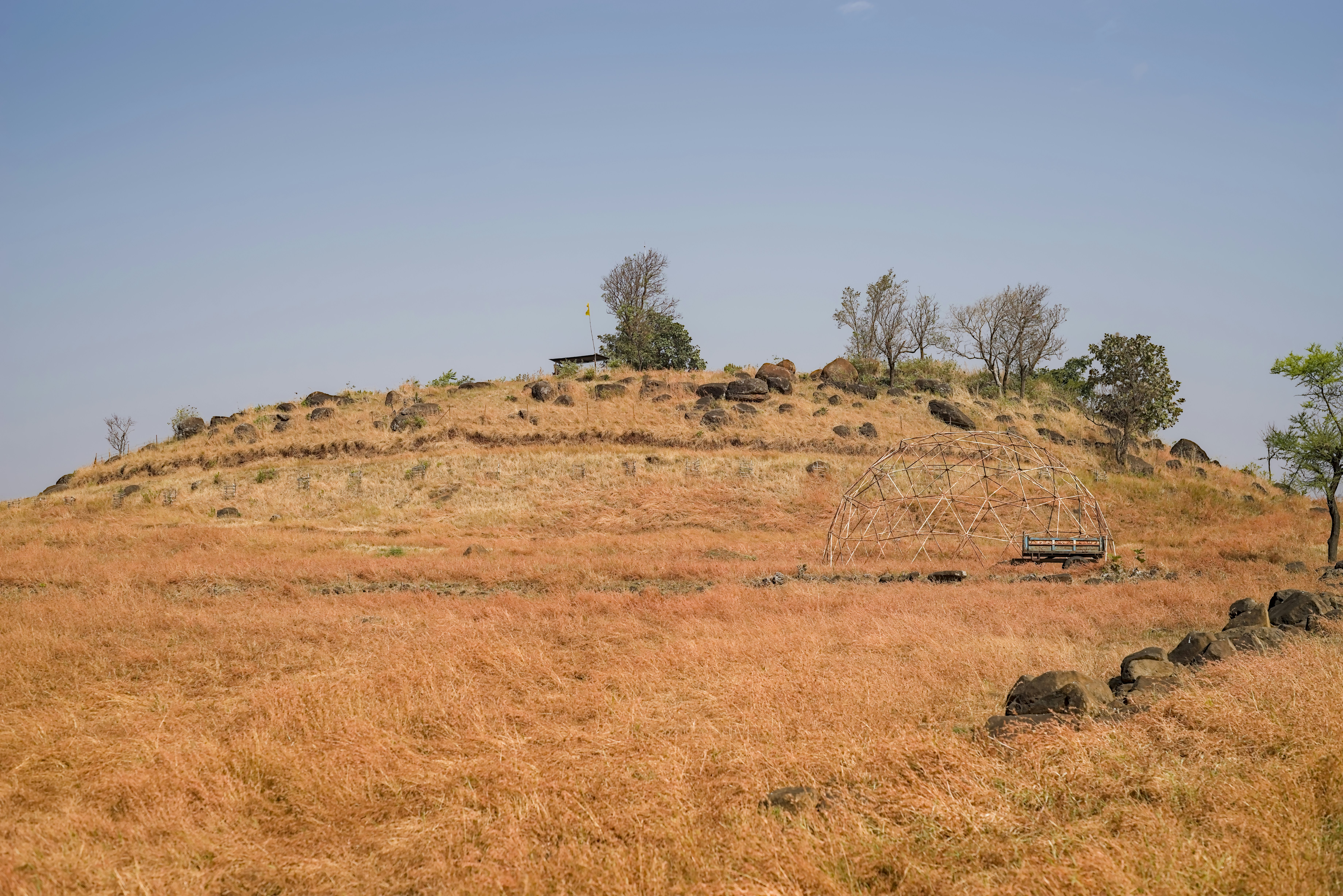 Dry grass covers a rolling hill under a clear sky.