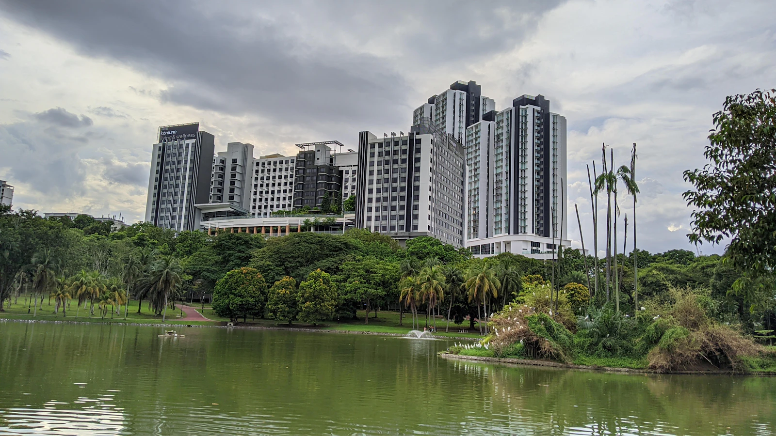 Condominium towers rising above a lake and green parkland