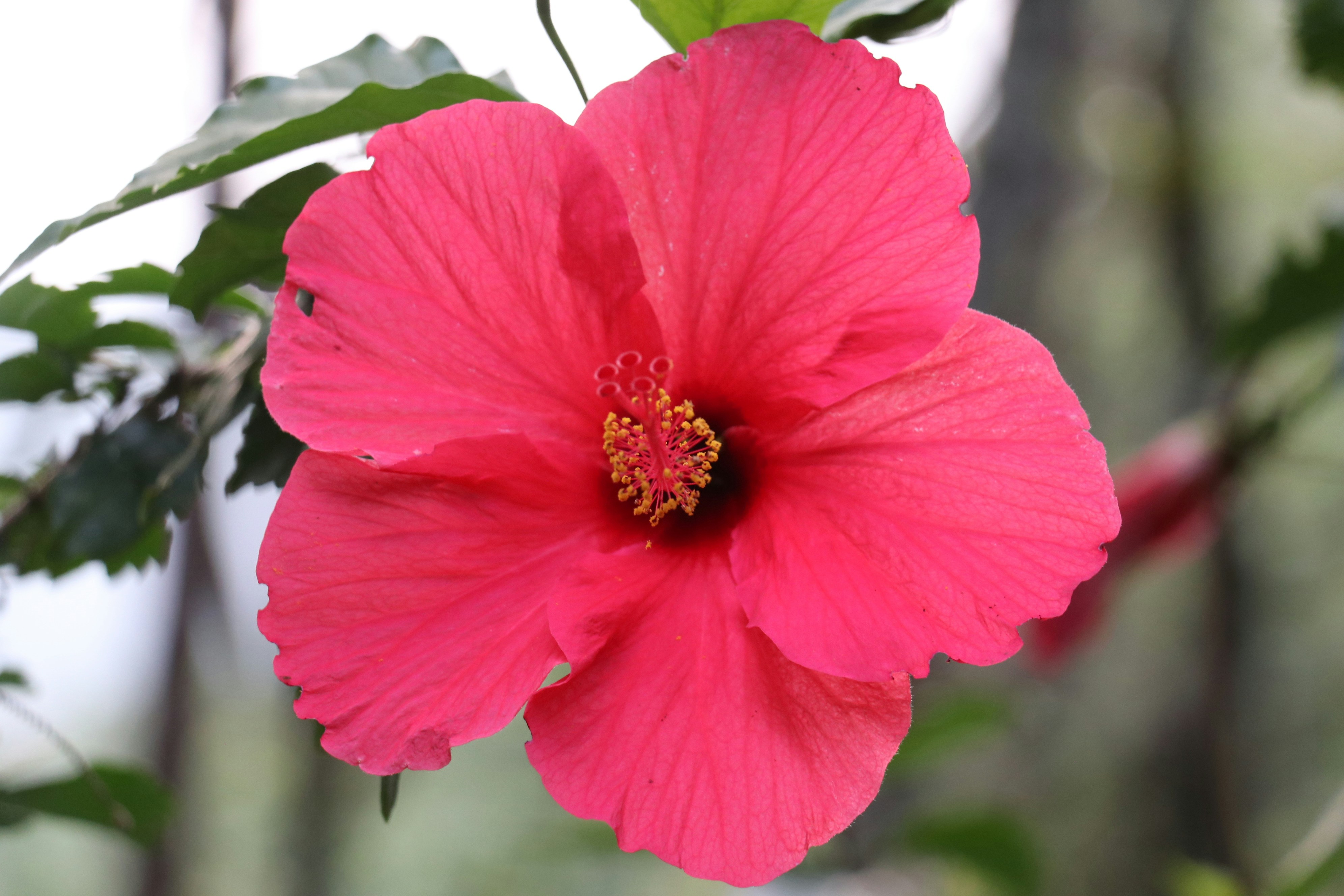 Photo by naruto984055