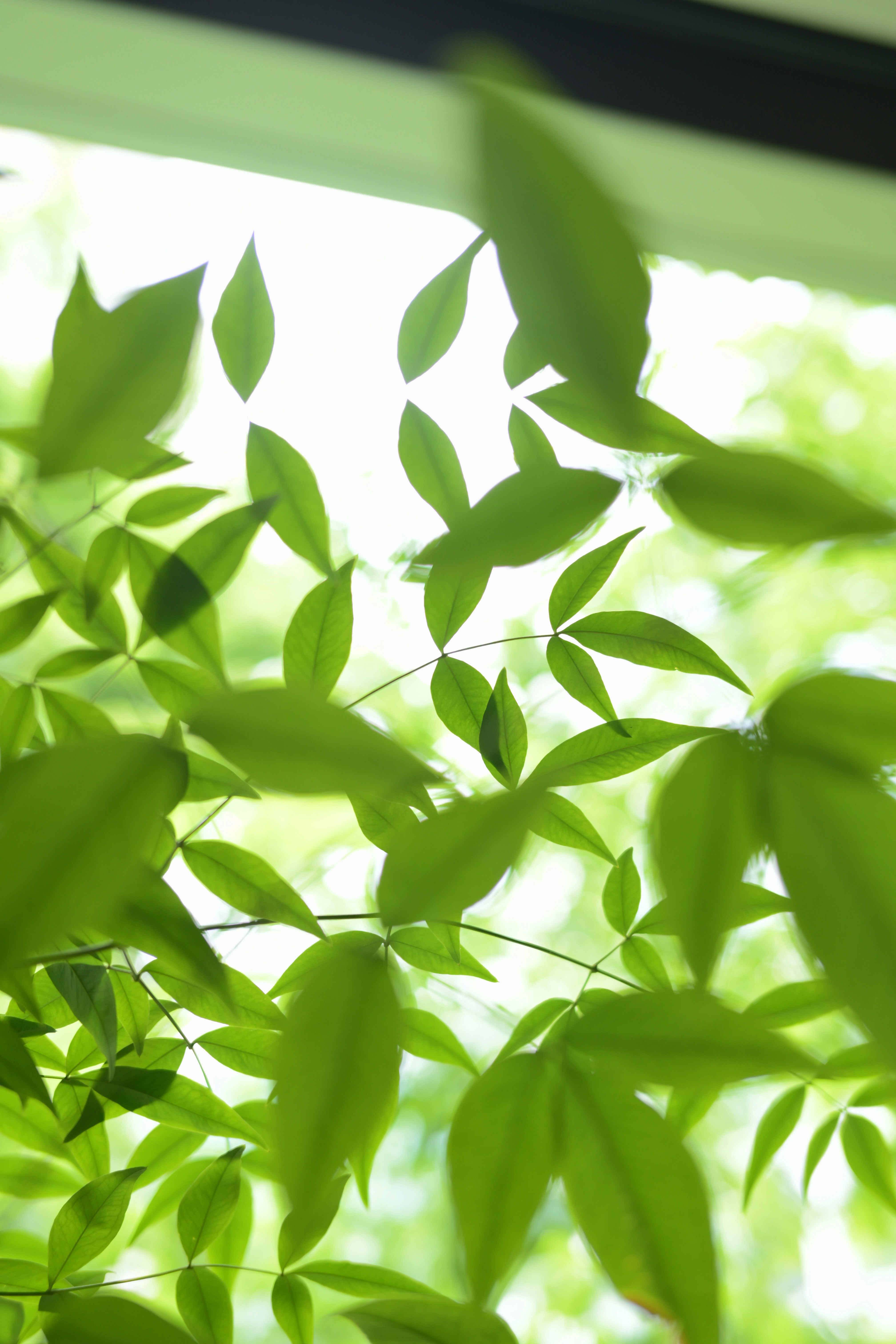 Photo by alber2albert