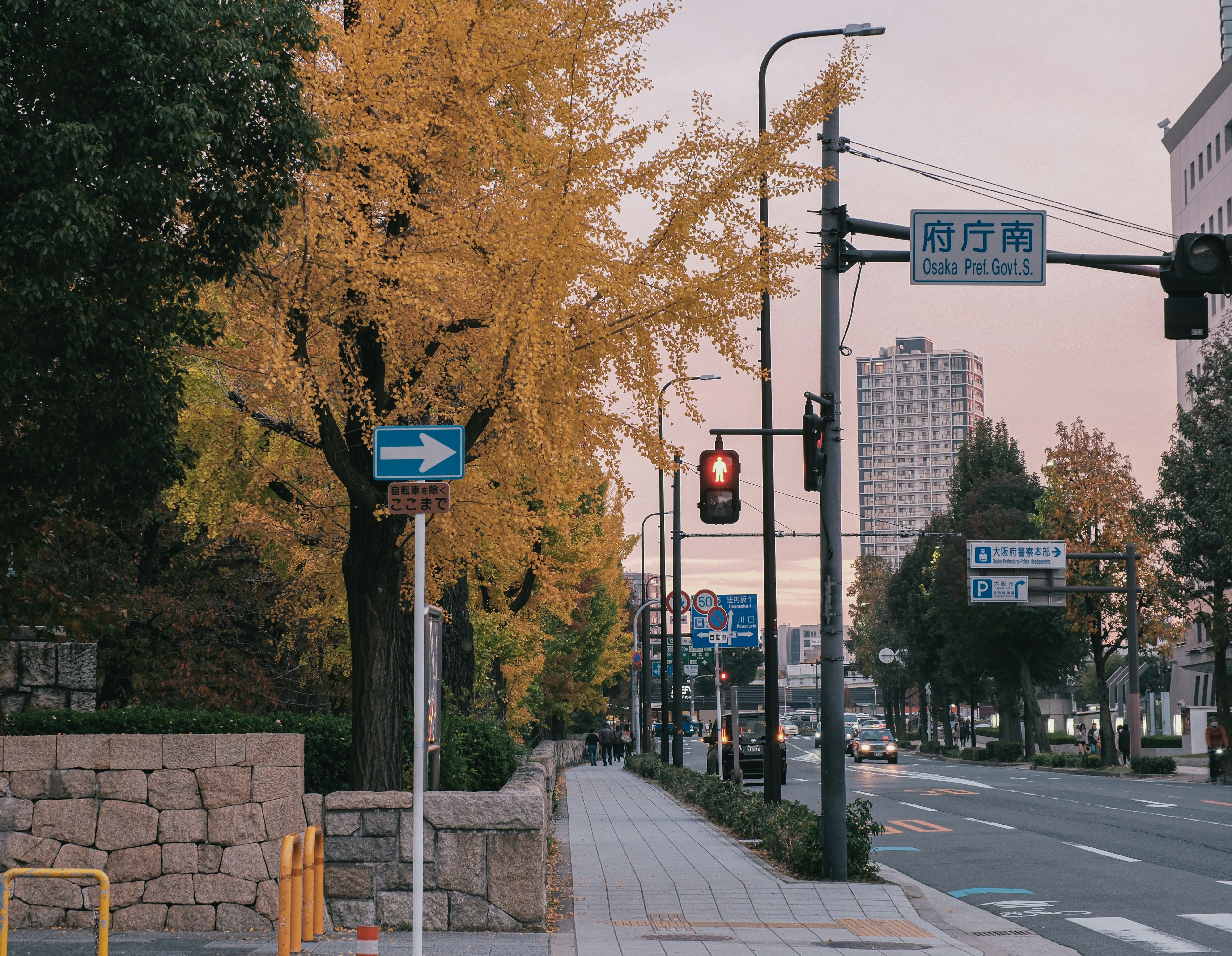 Photo by huyphan2602