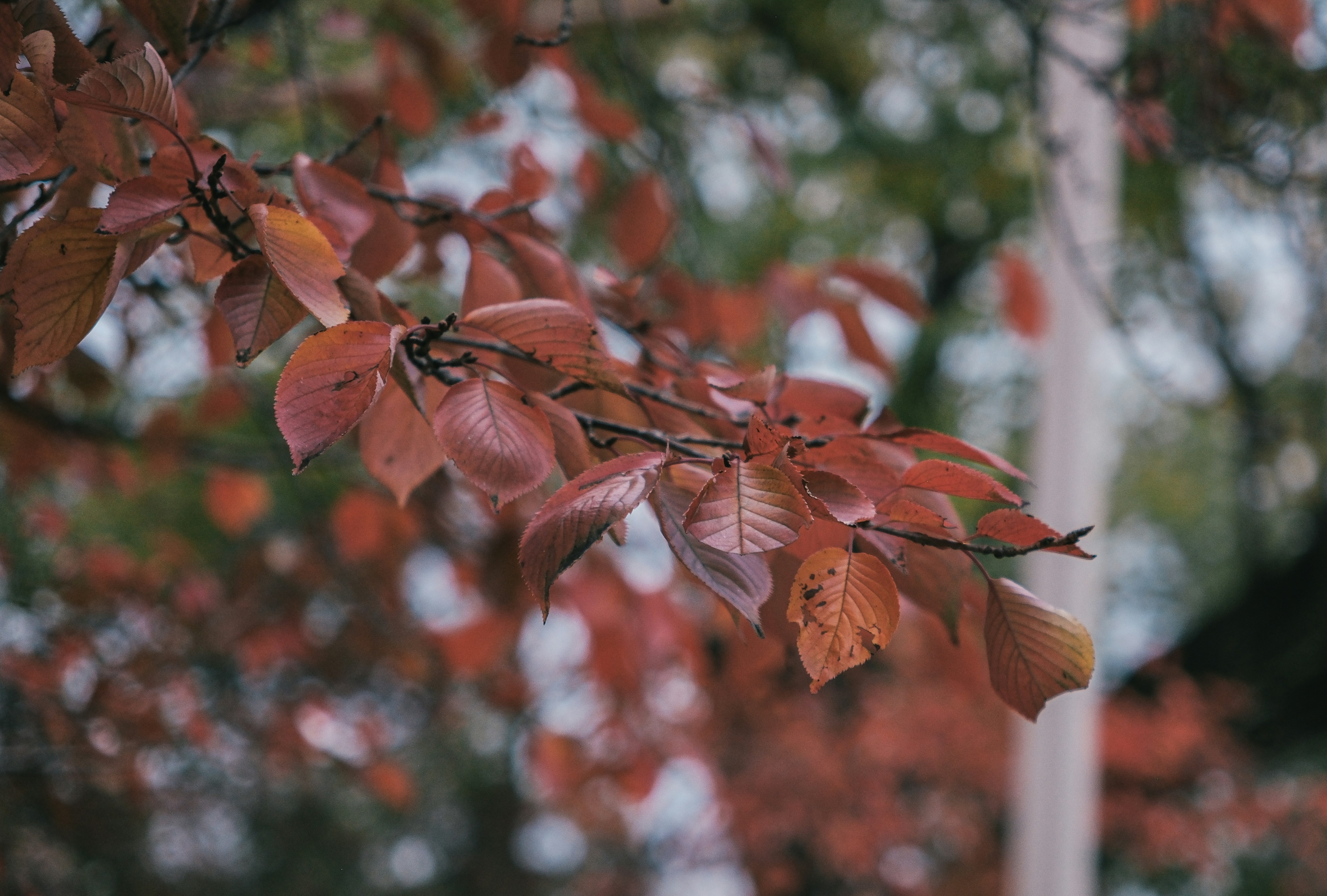 Photo by huyphan2602