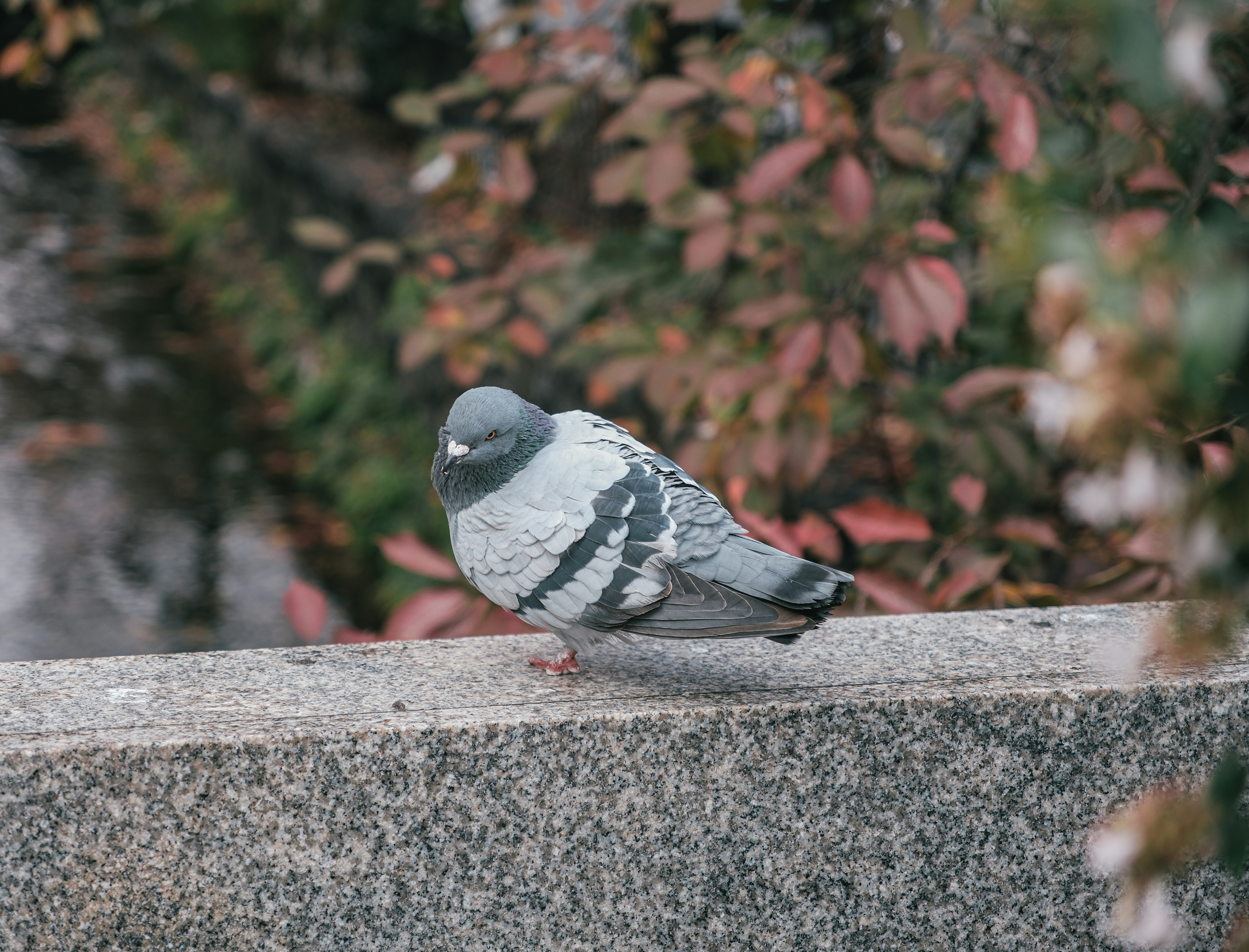 Photo by huyphan2602