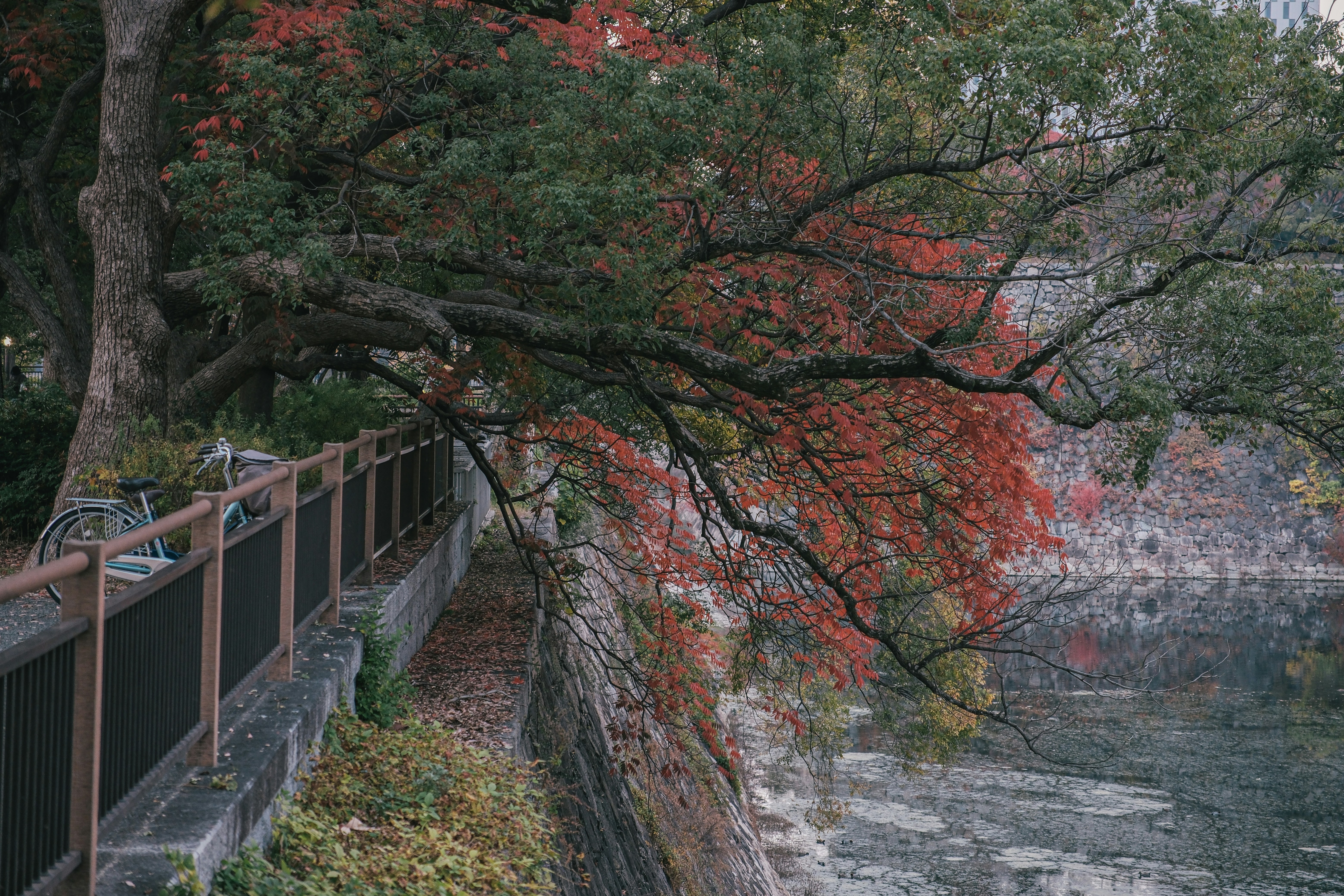 Photo by huyphan2602