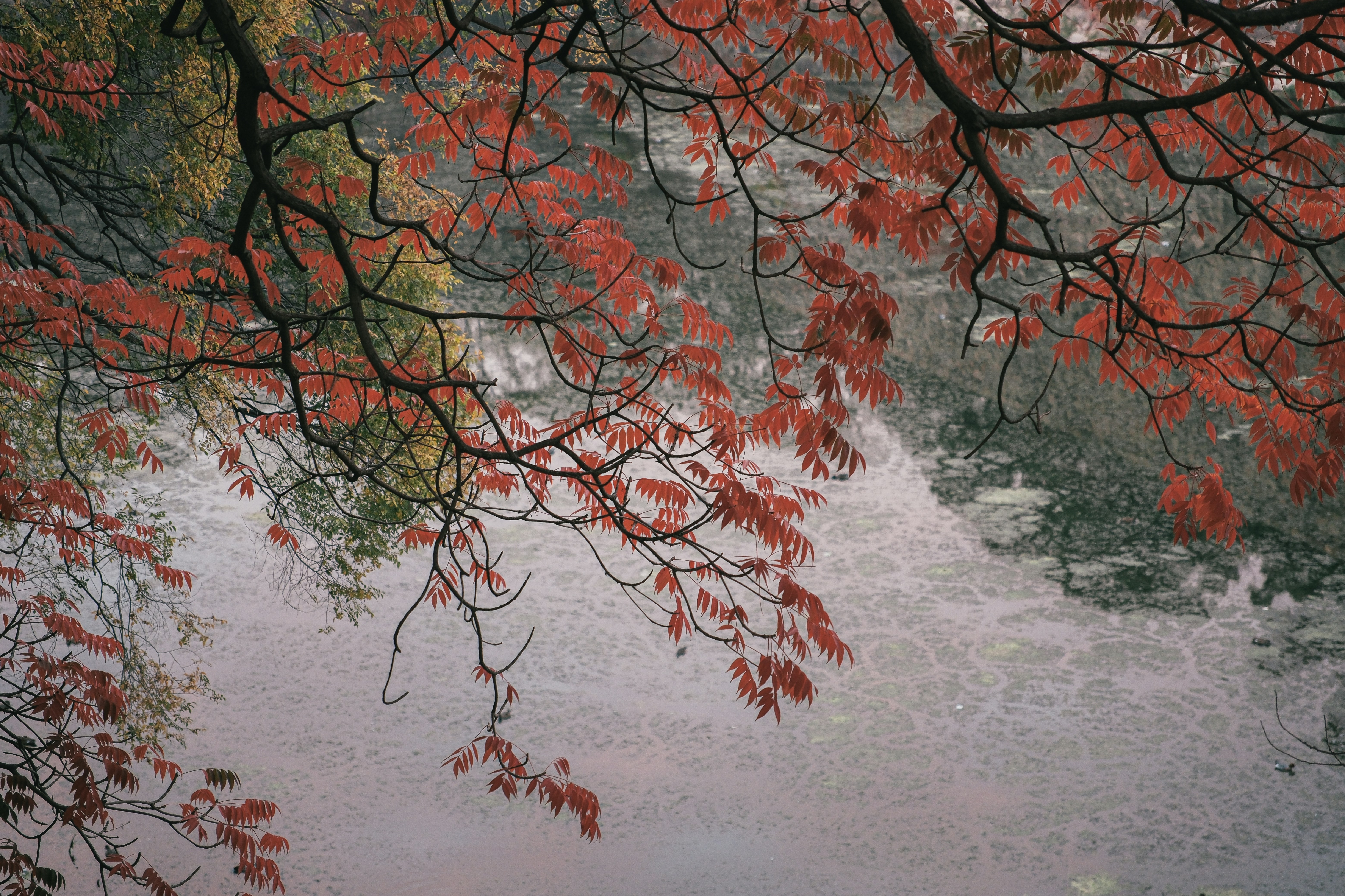 Photo by huyphan2602