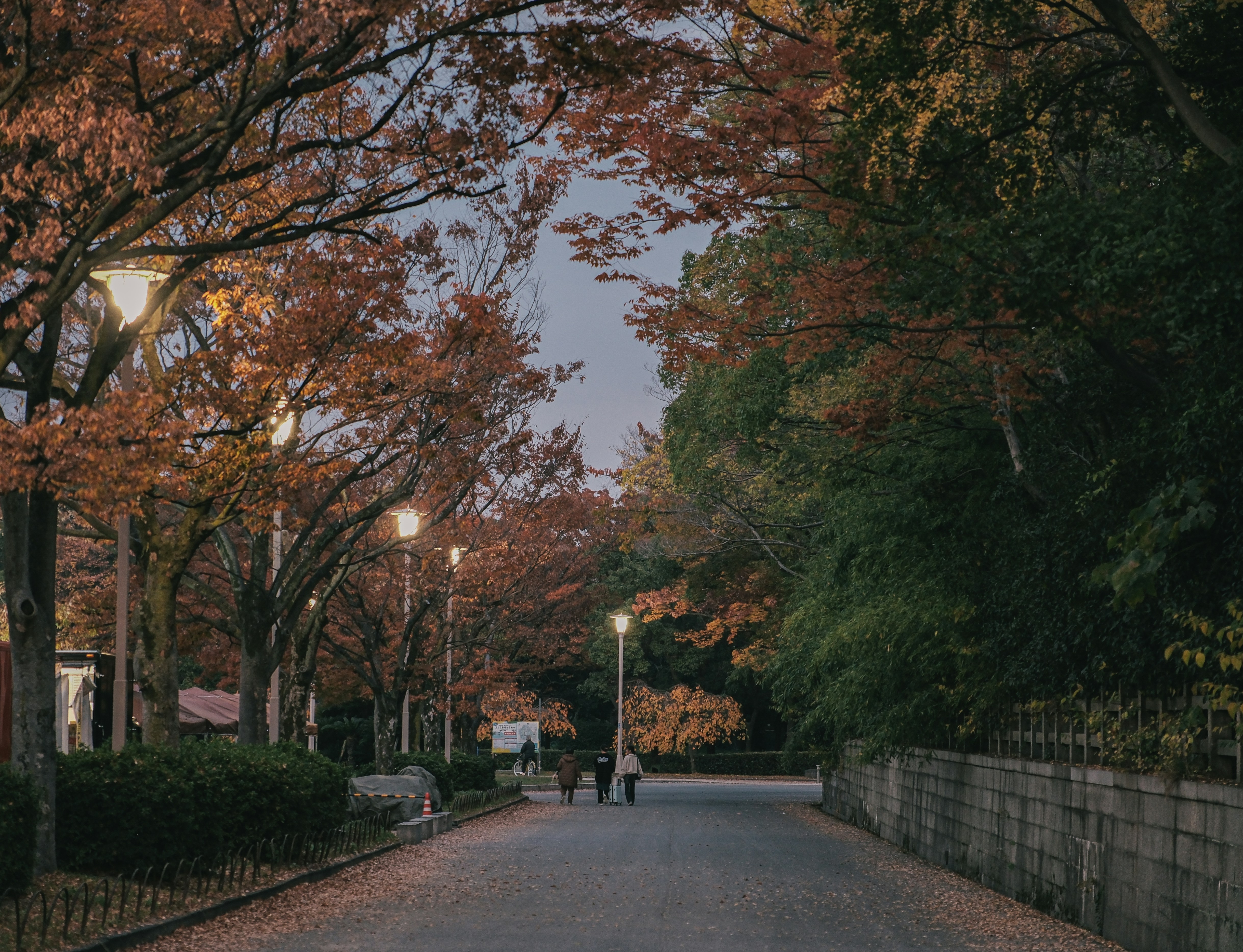 Photo by huyphan2602