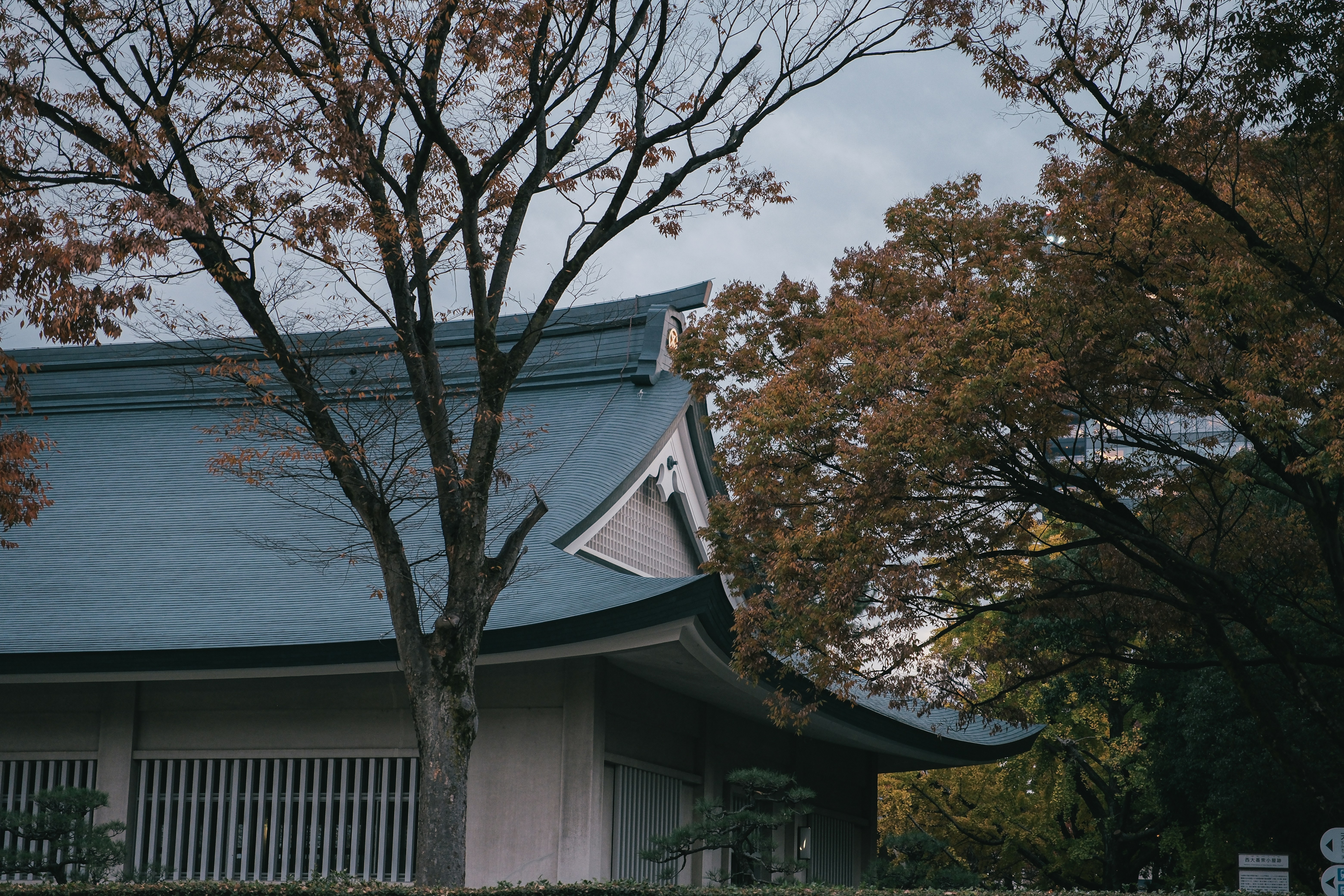 Photo by huyphan2602