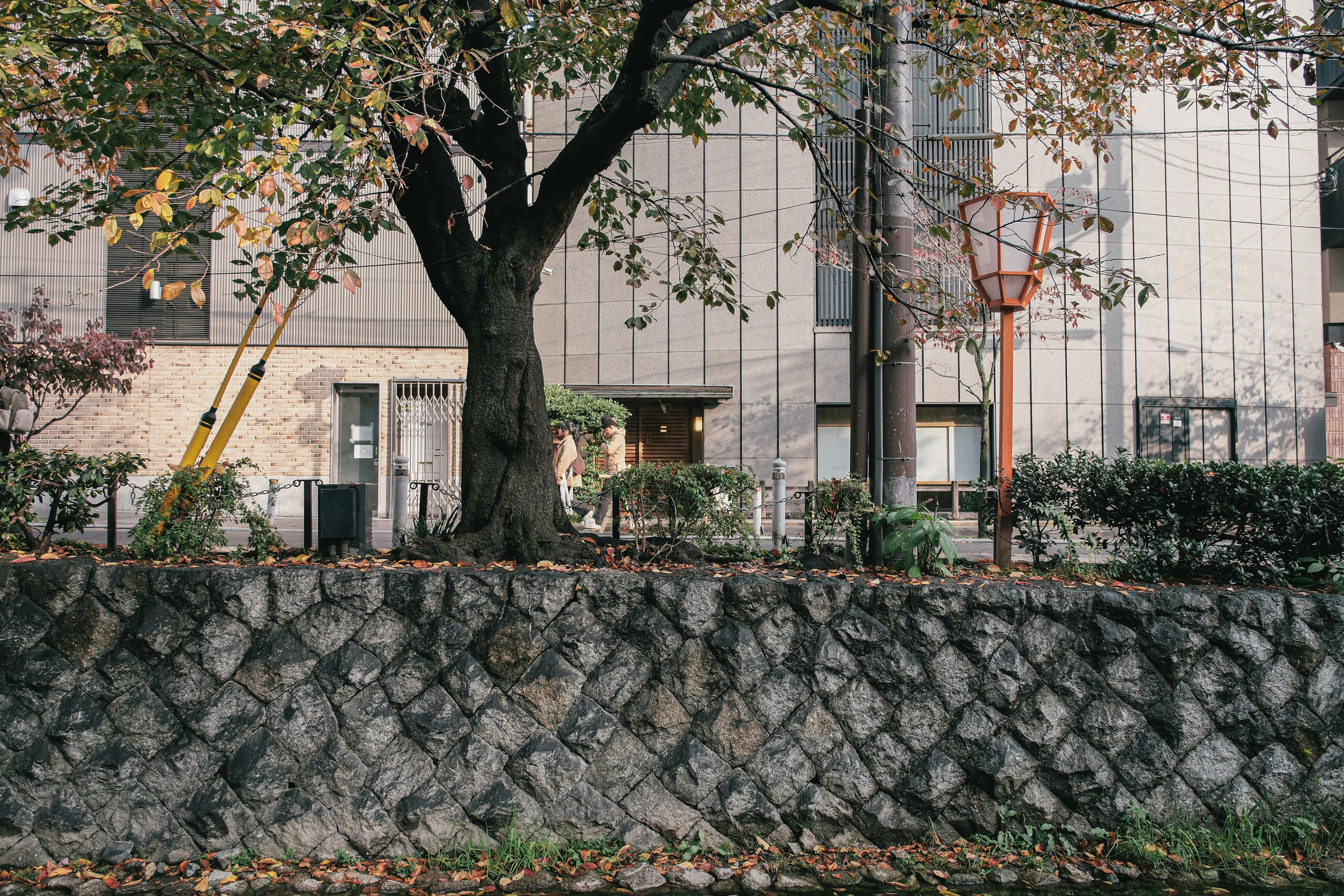 Photo by huyphan2602