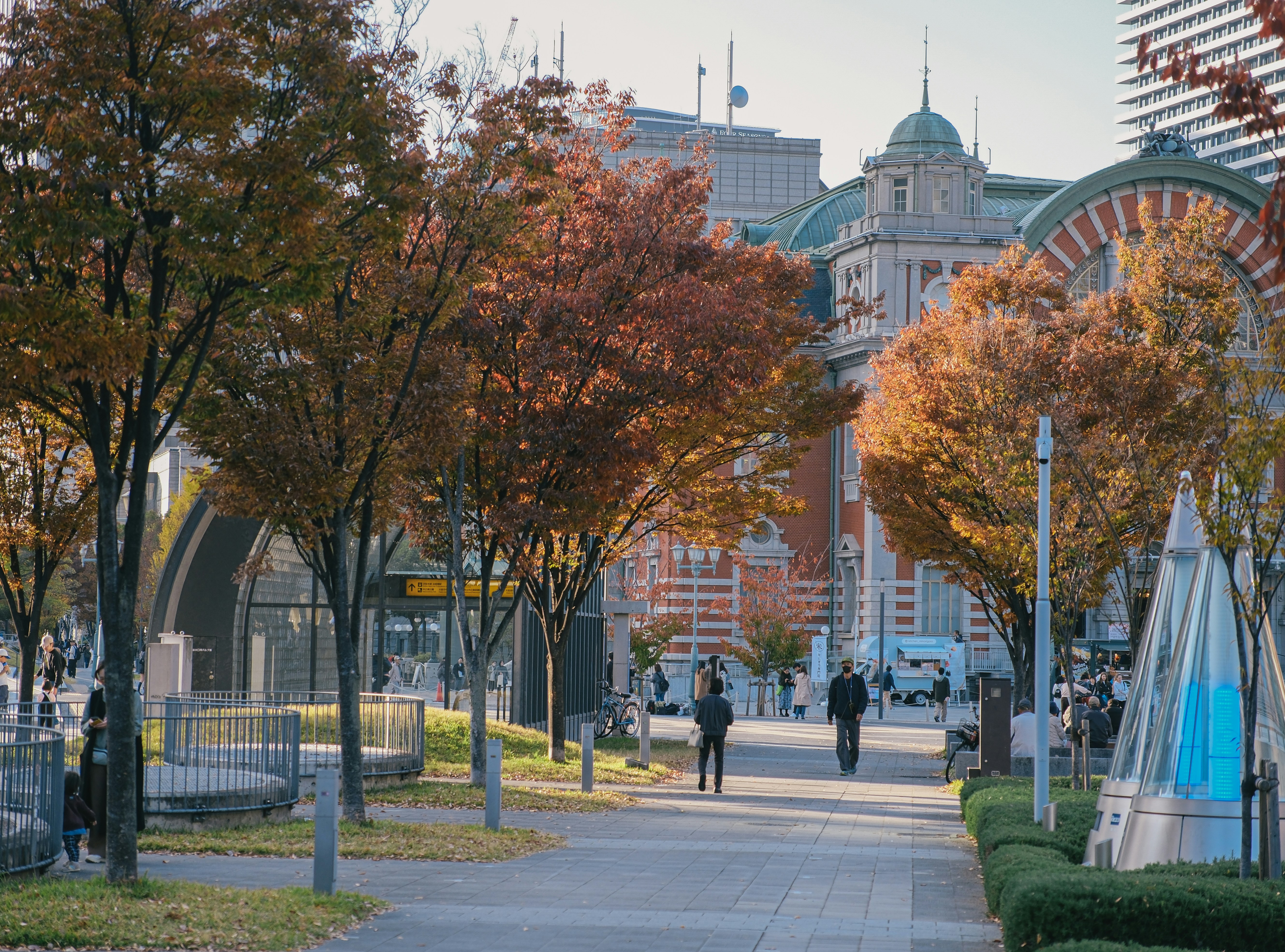 Autumn trees line a pathway with buildings beyond.