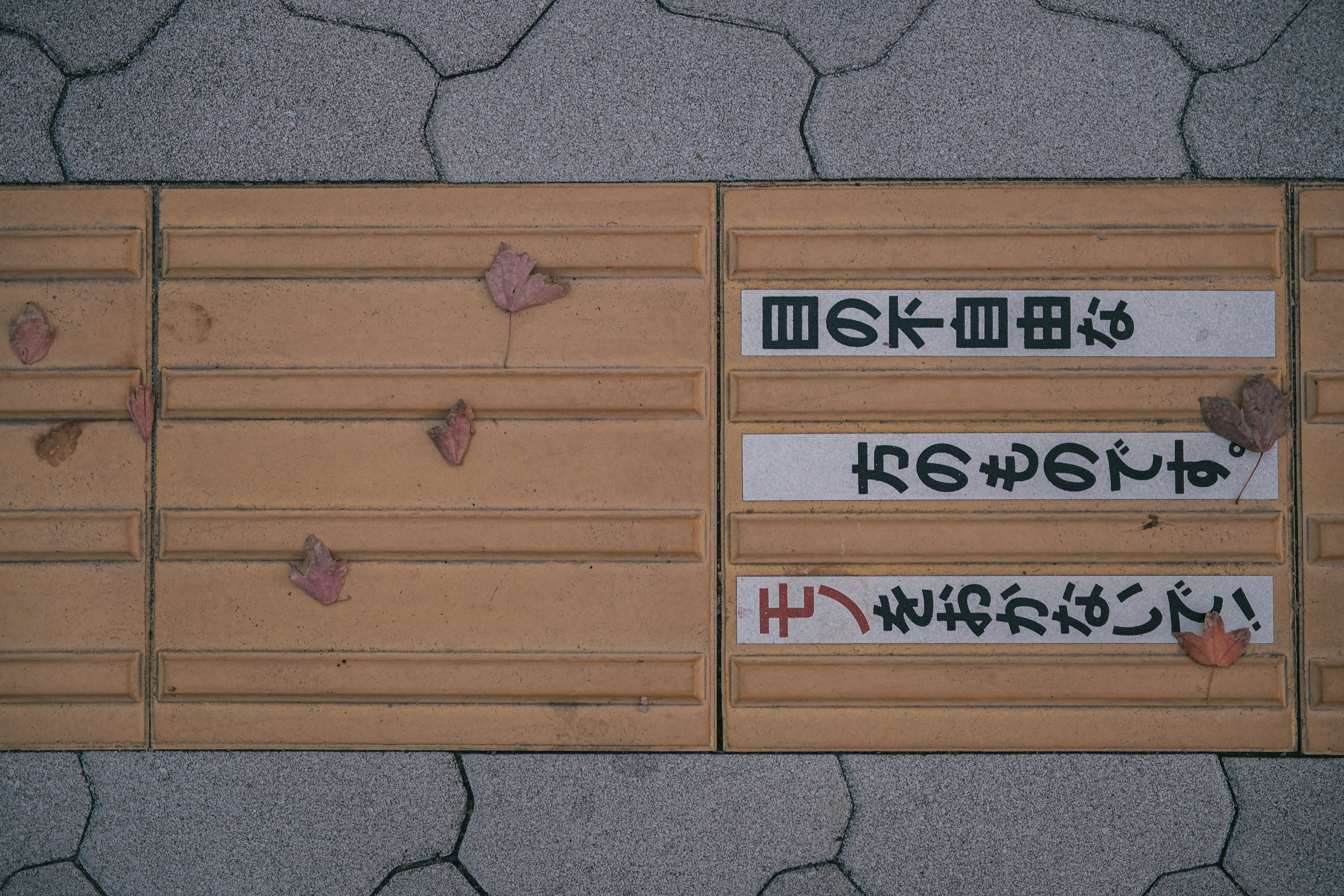Tactile paving with japanese text and fallen leaves