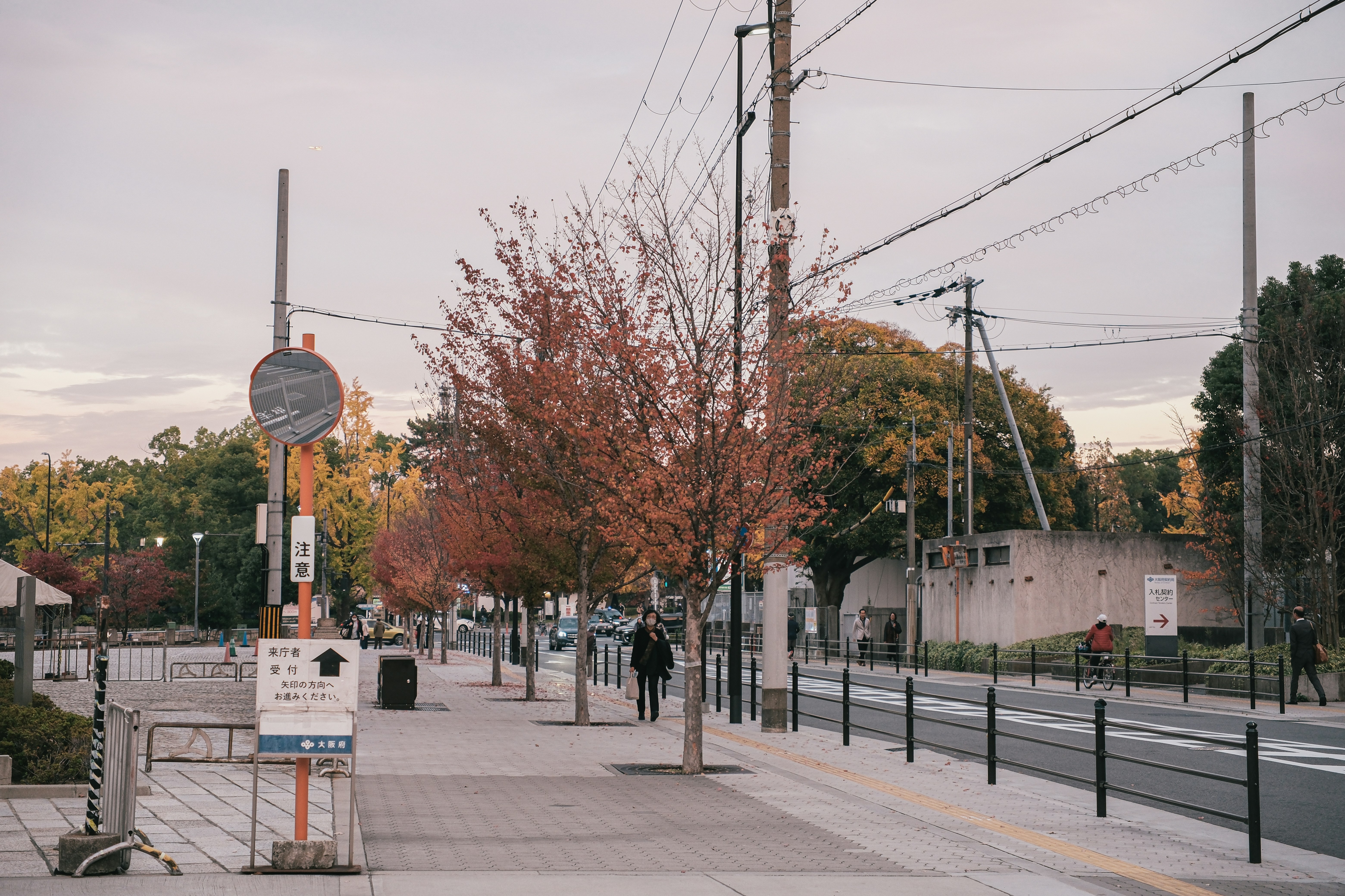 Photo by huyphan2602