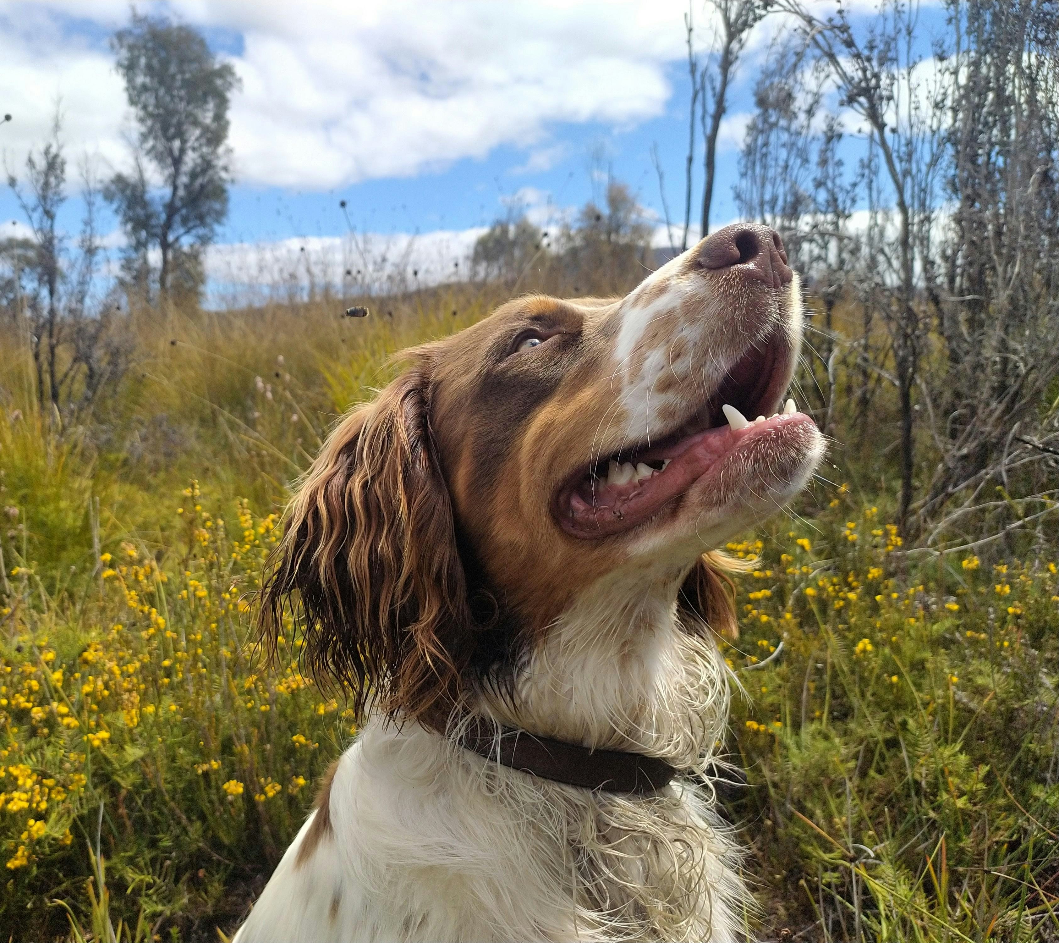 Conclusion: Walks That Reflect Wellness