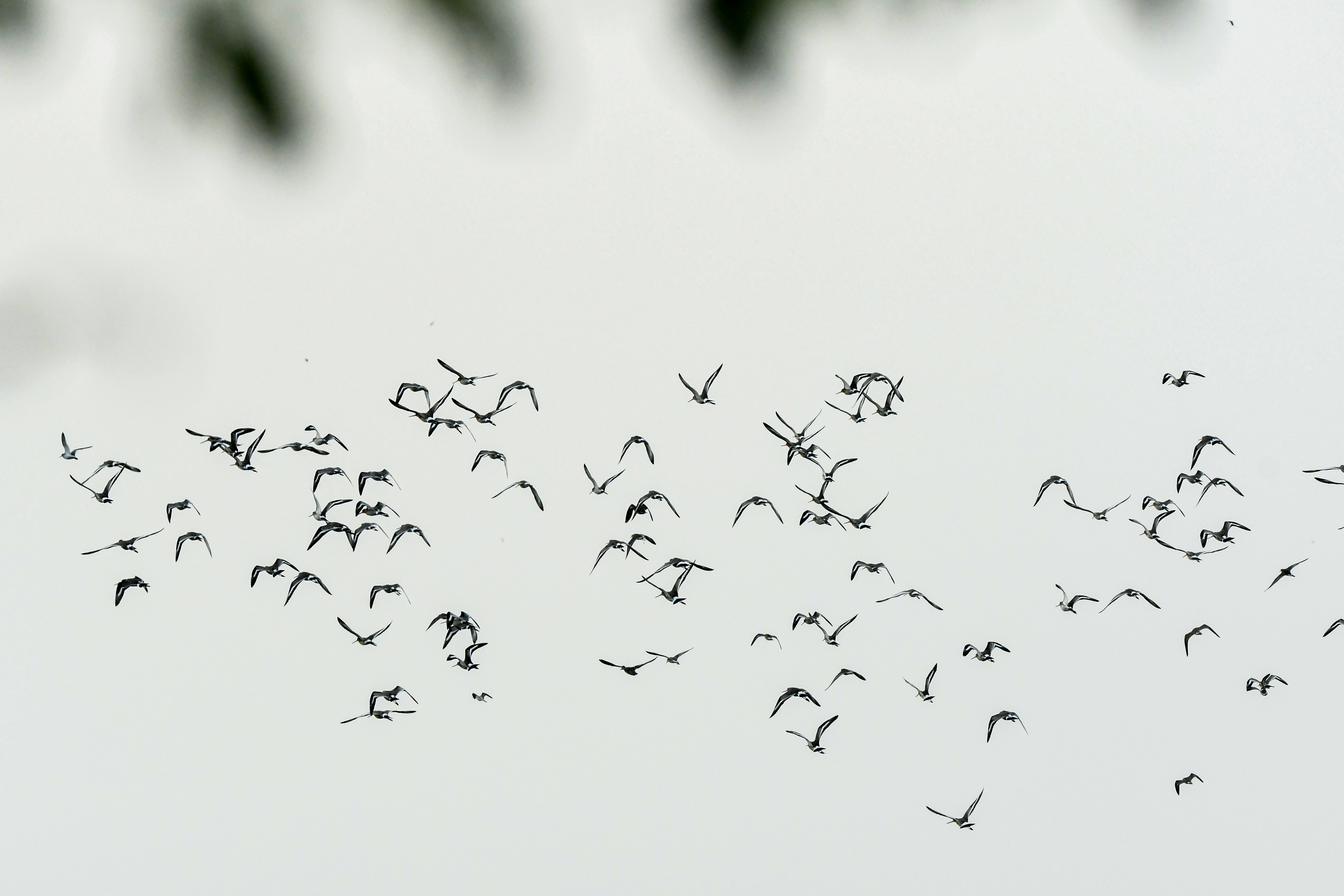 Photo by amitrai10