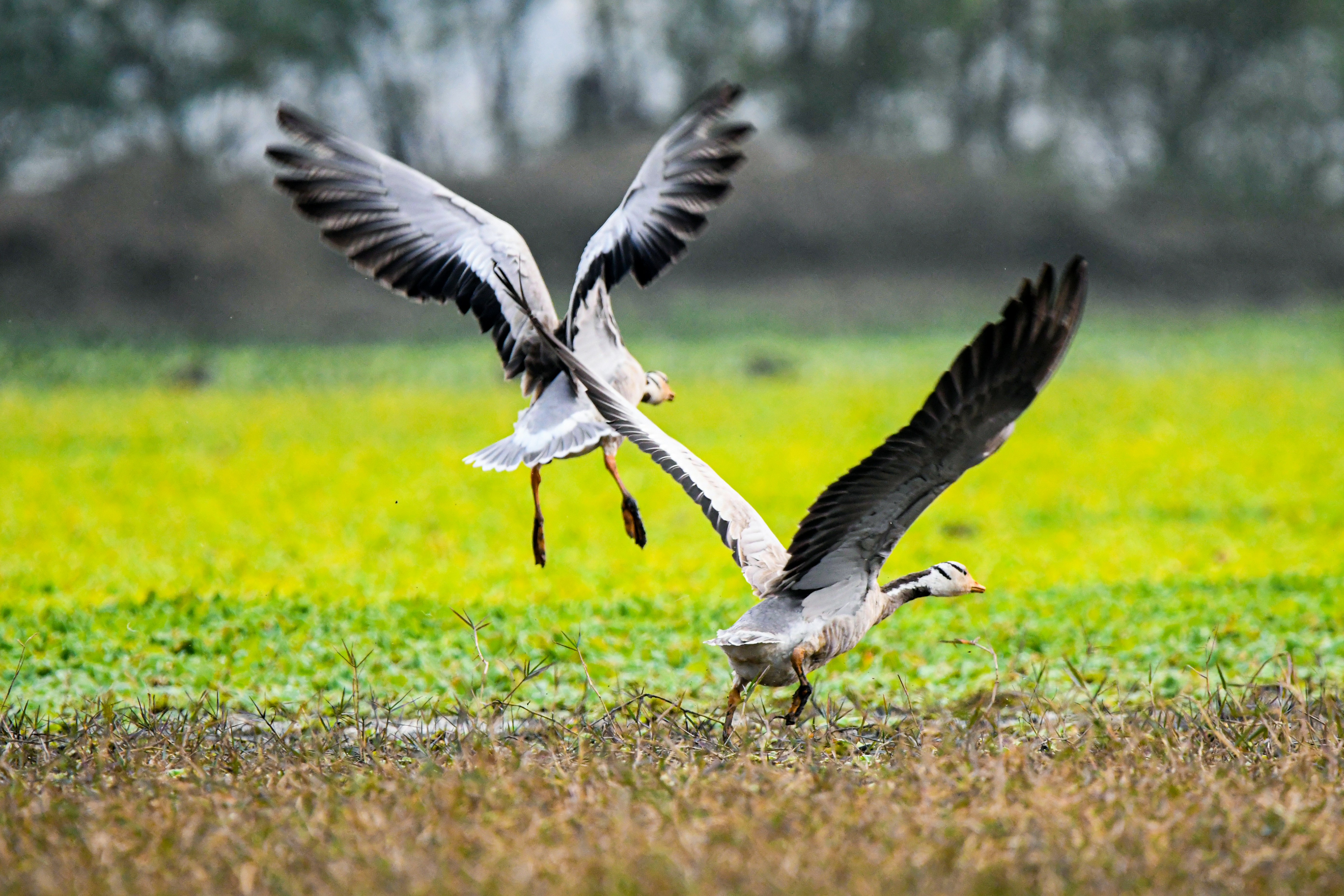 Photo by amitrai10