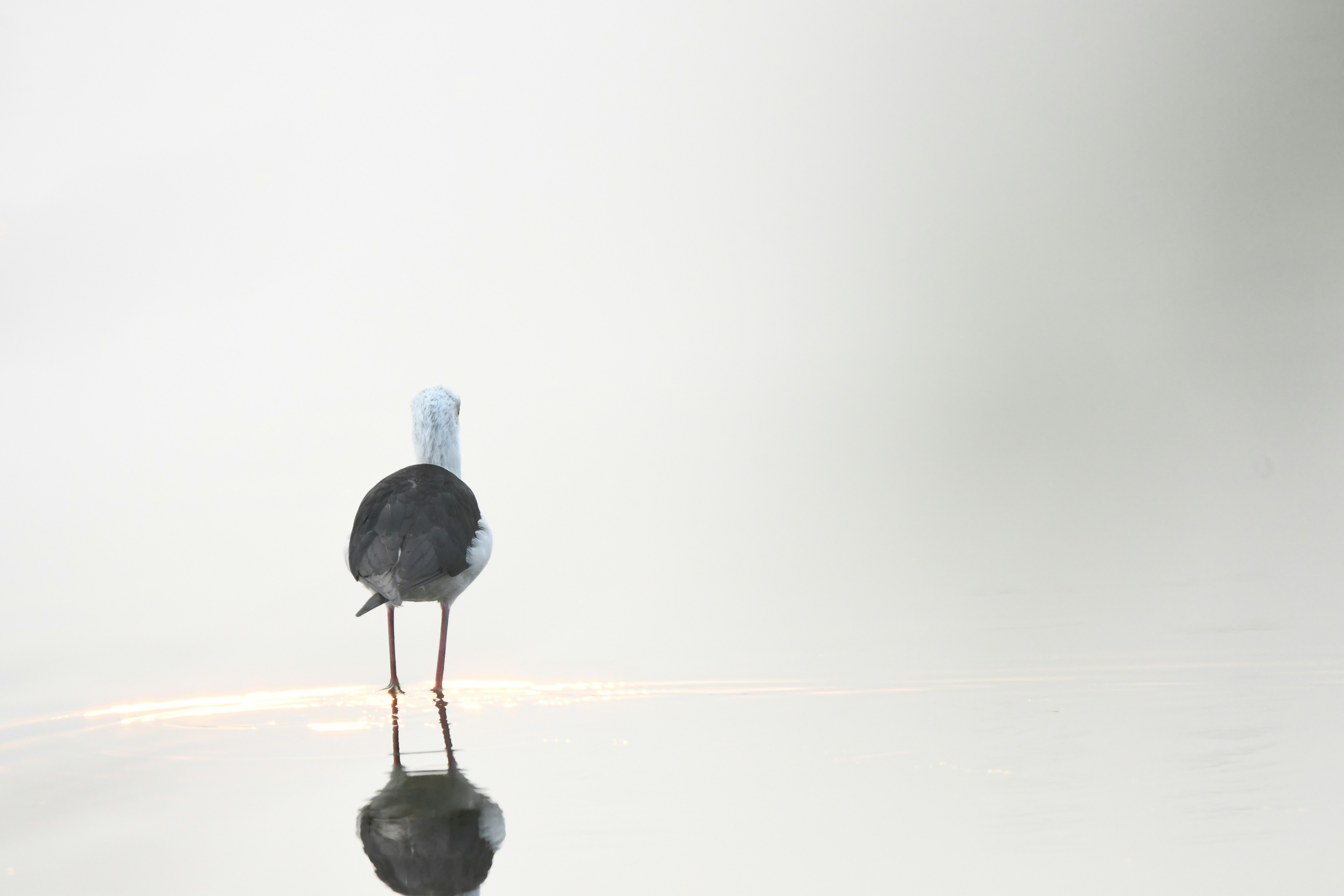 Photo by amitrai10