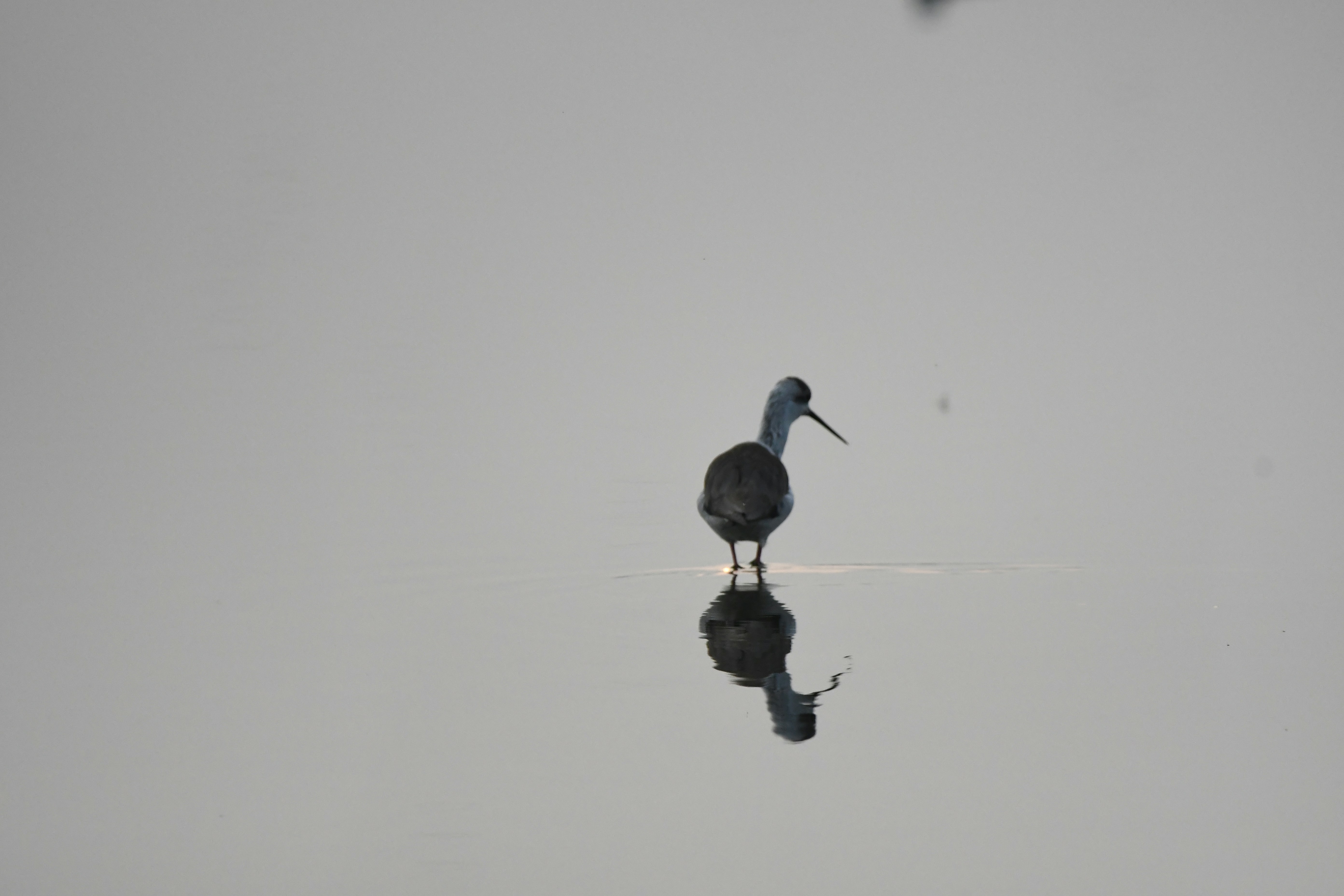 Photo by amitrai10