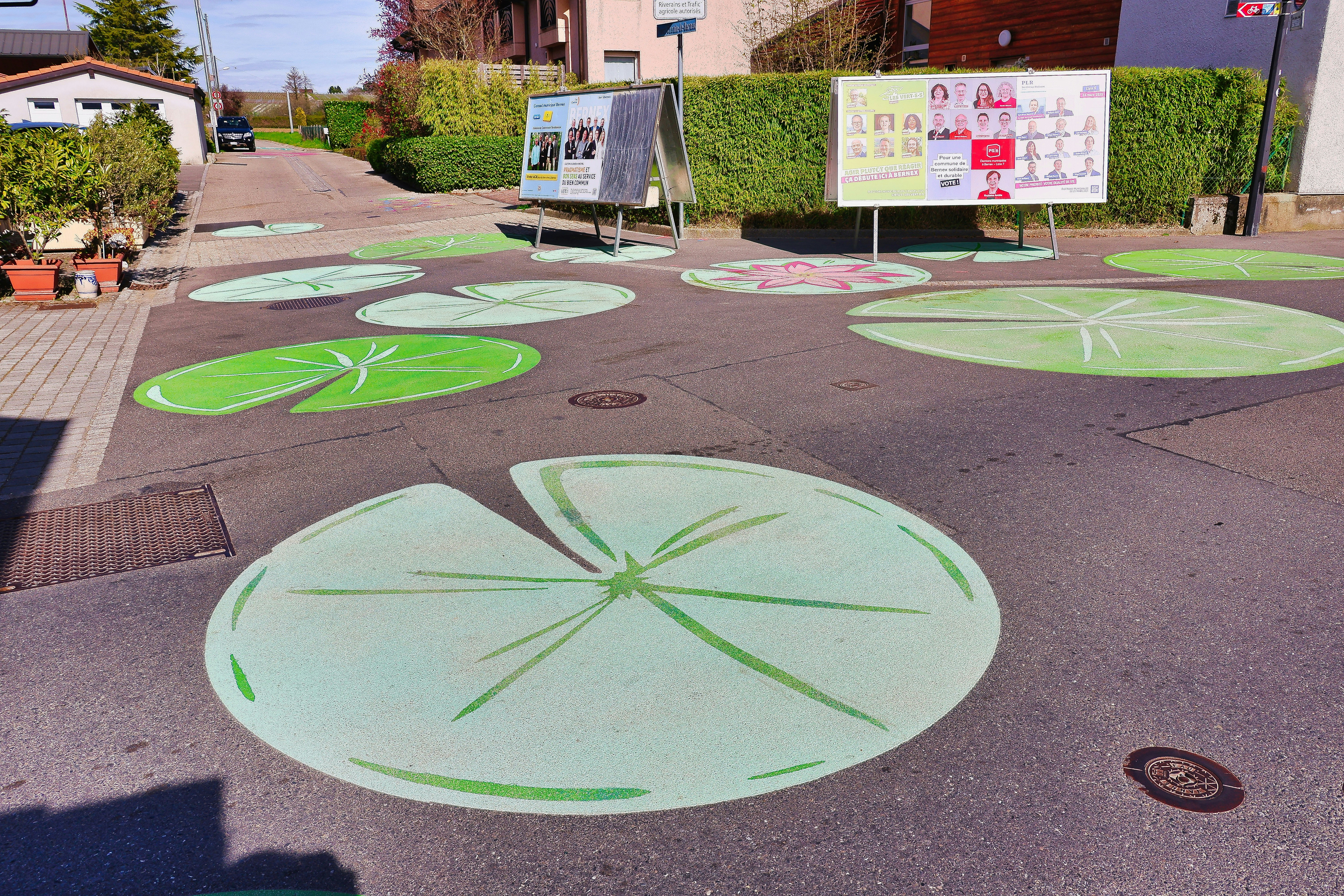 Lily pads painted on street with signs