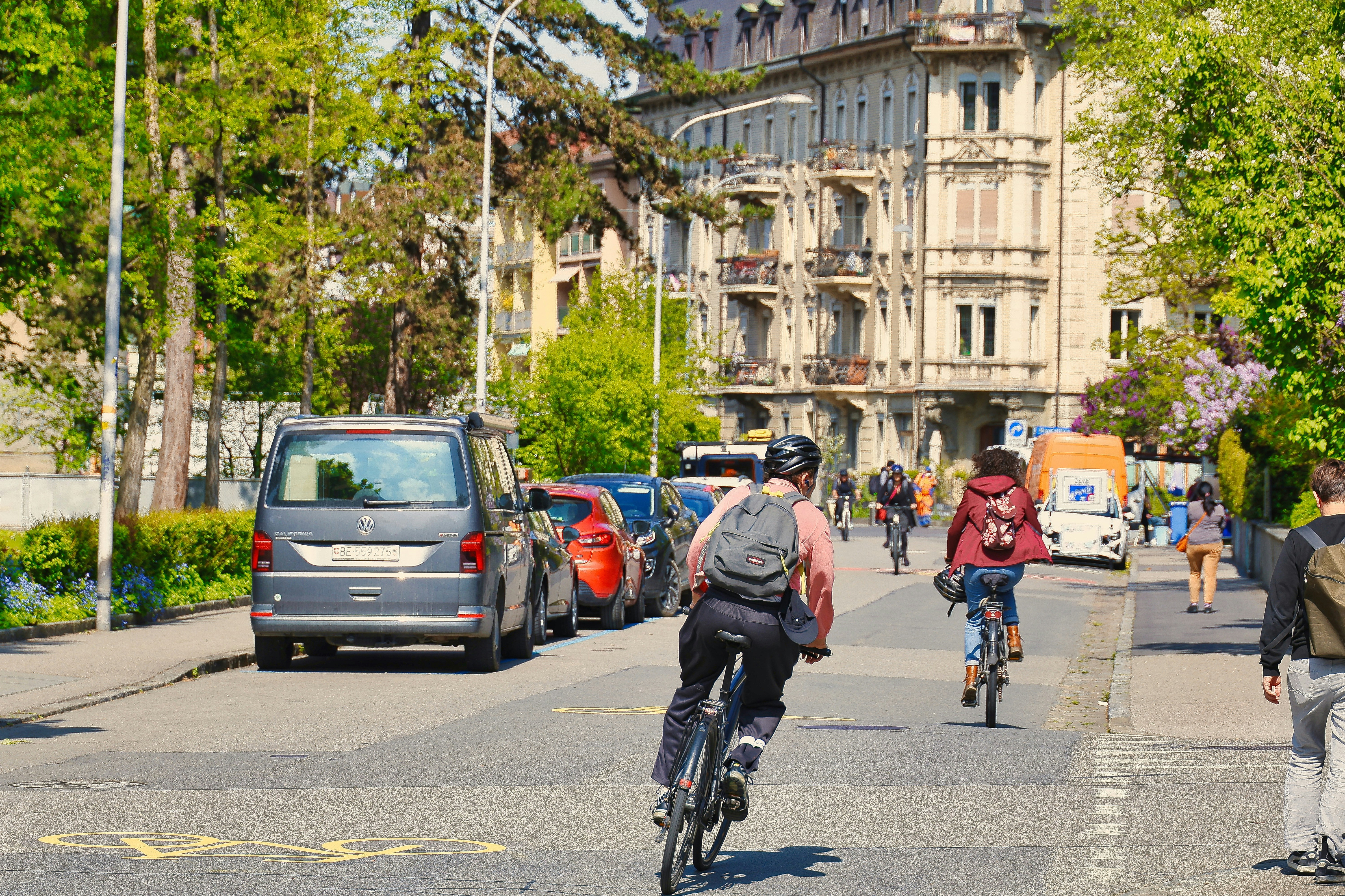 Cyclists ride down a tree-lined street in a city.