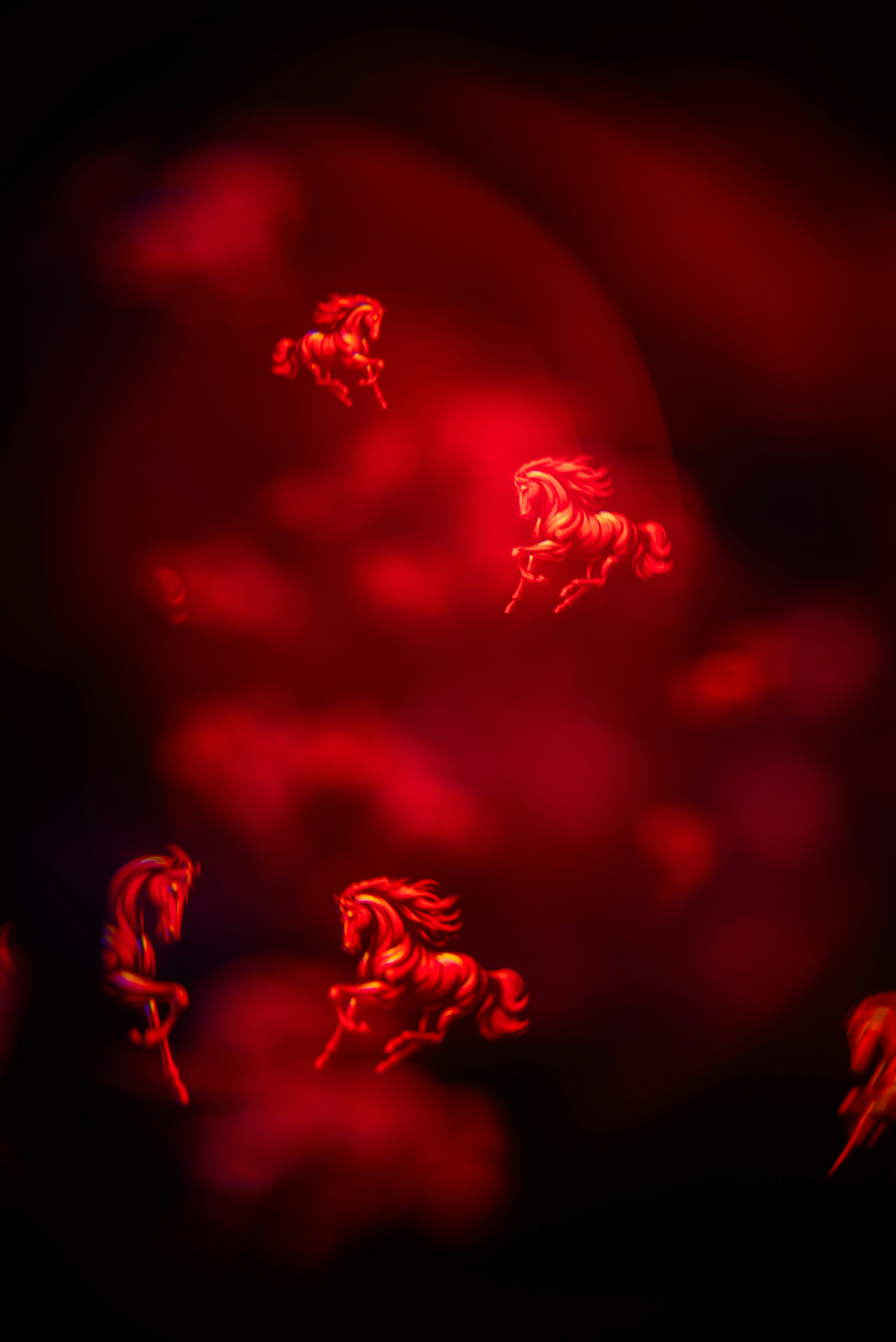 Photo by andrilliardbond