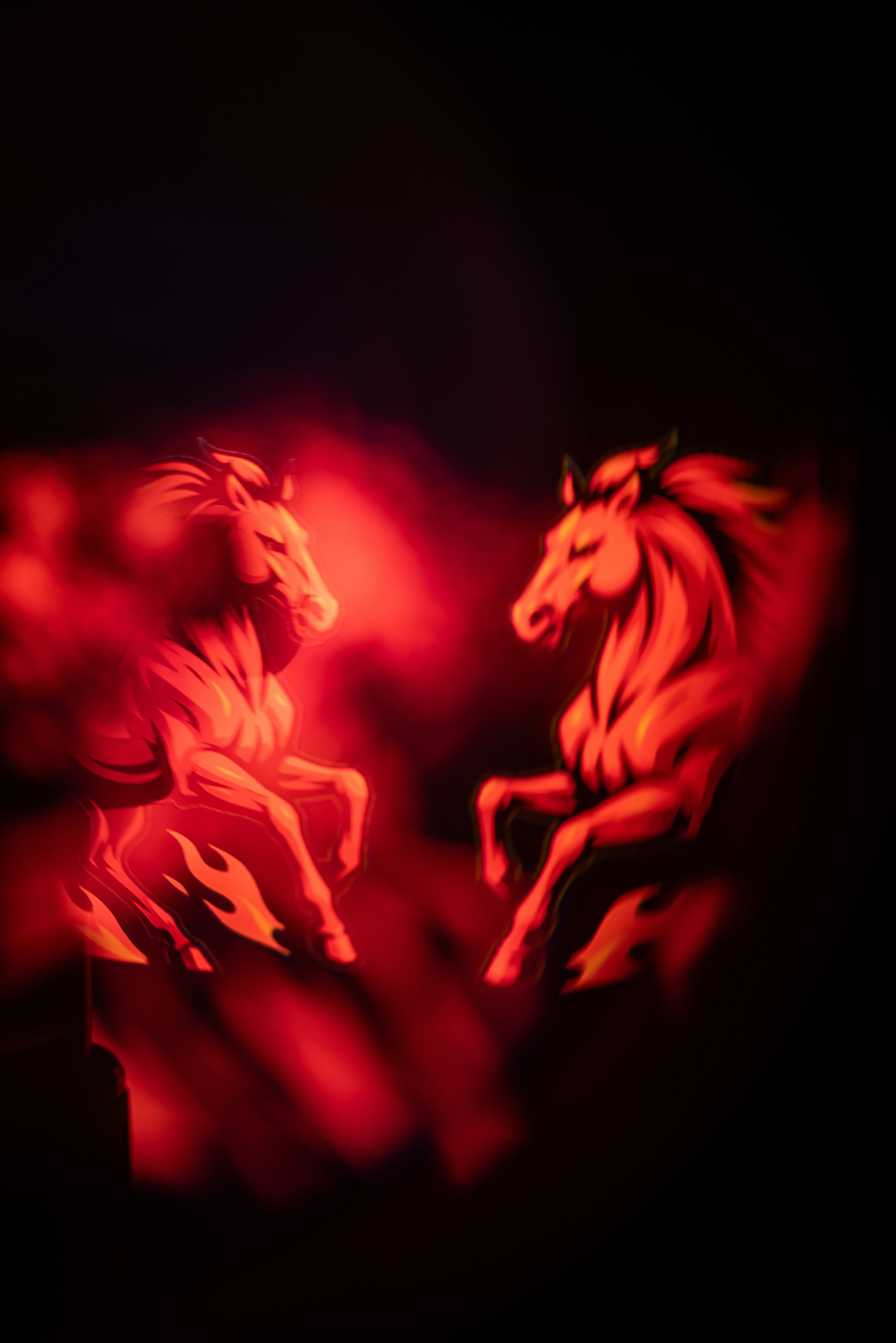 Two horses illuminated by red light