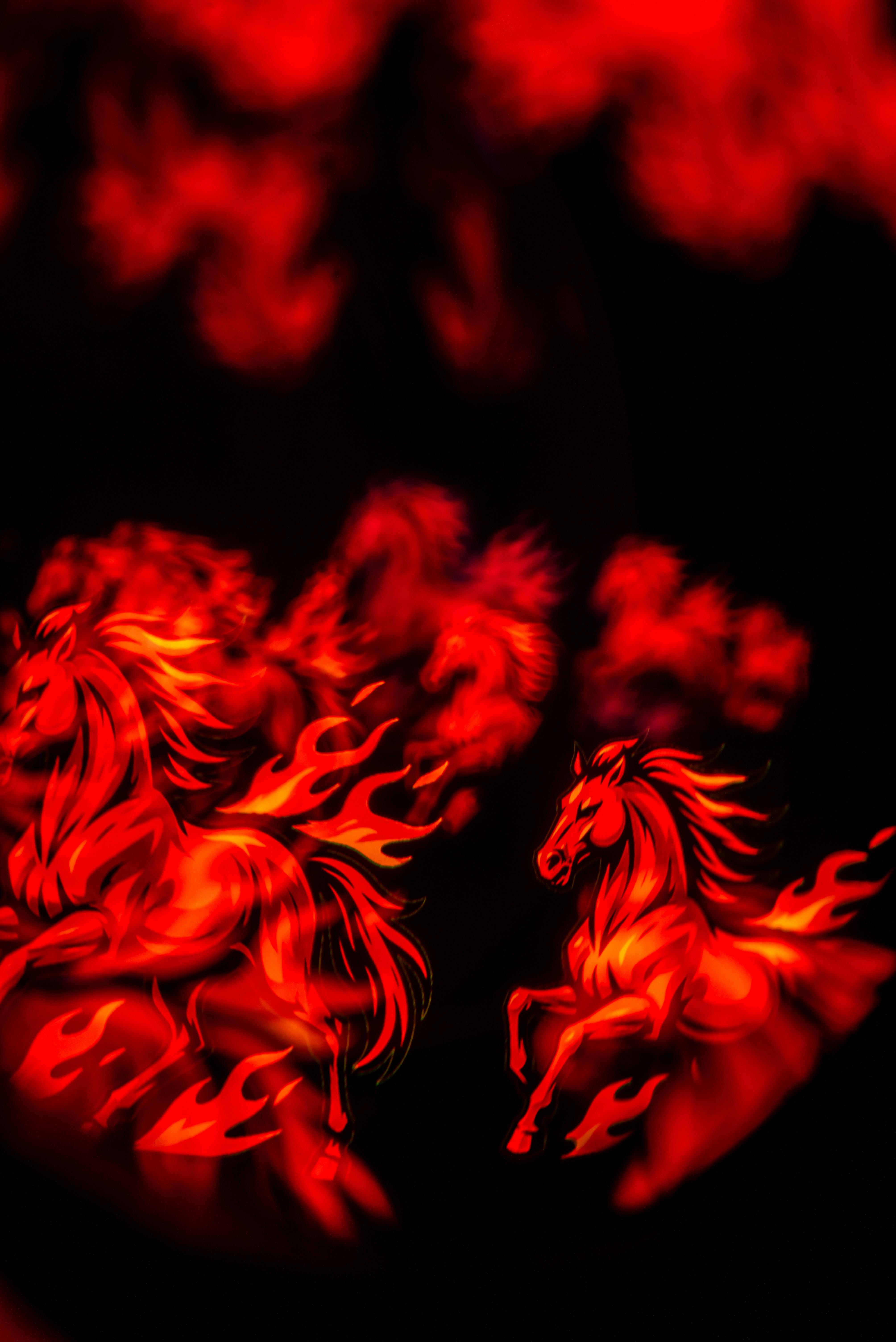 Photo by andrilliardbond