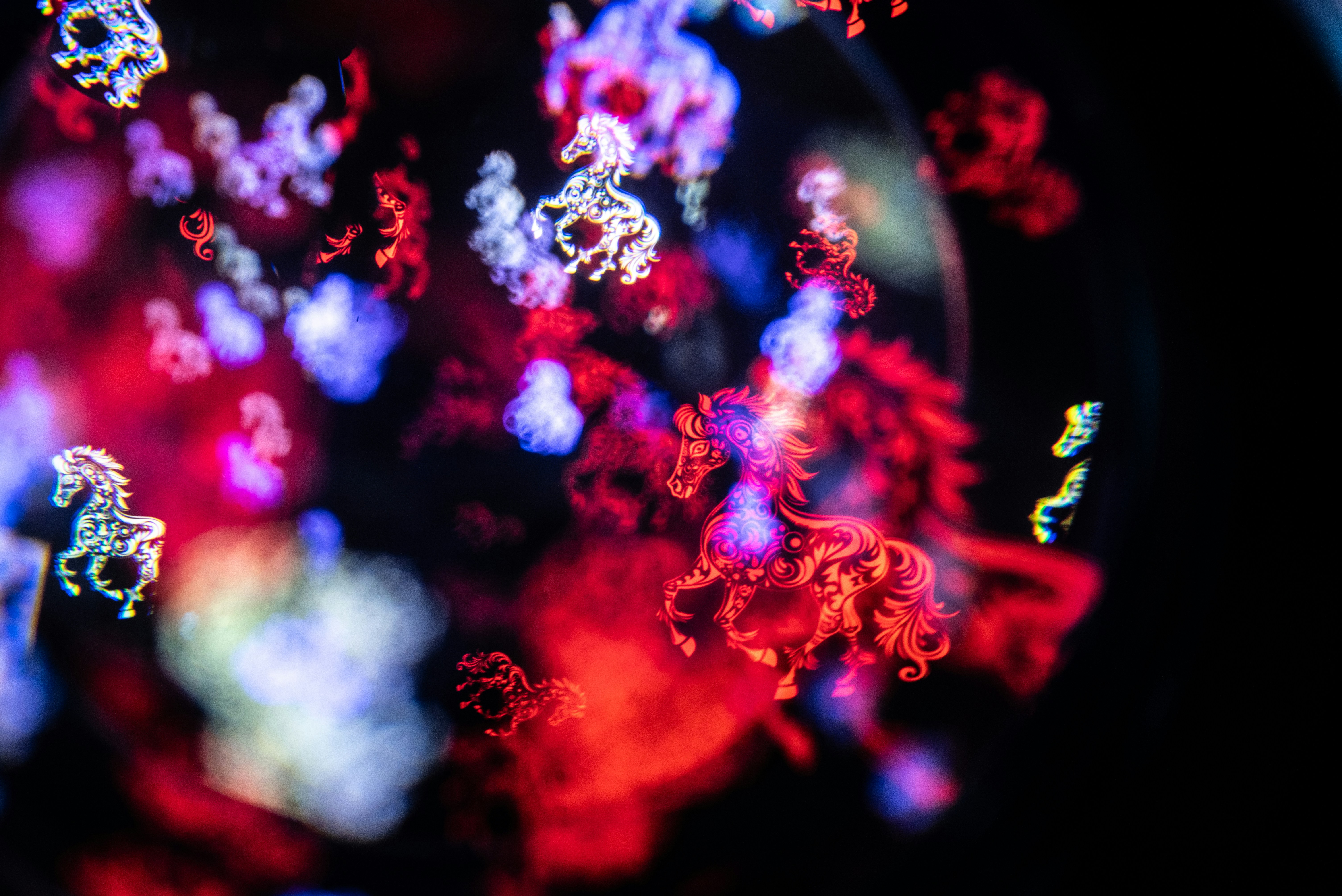 Photo by andrilliardbond