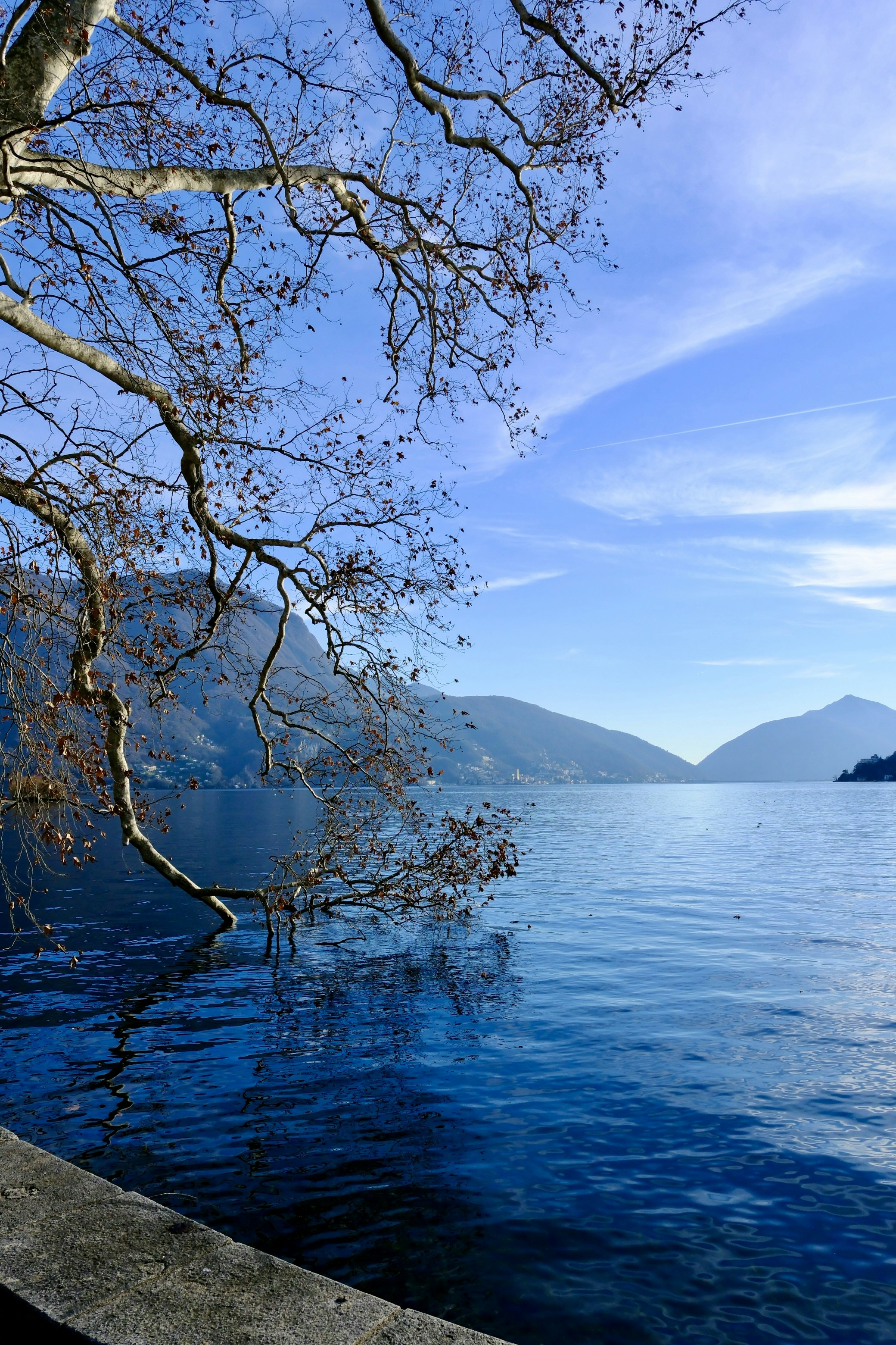 Photo by annalisa_bellini