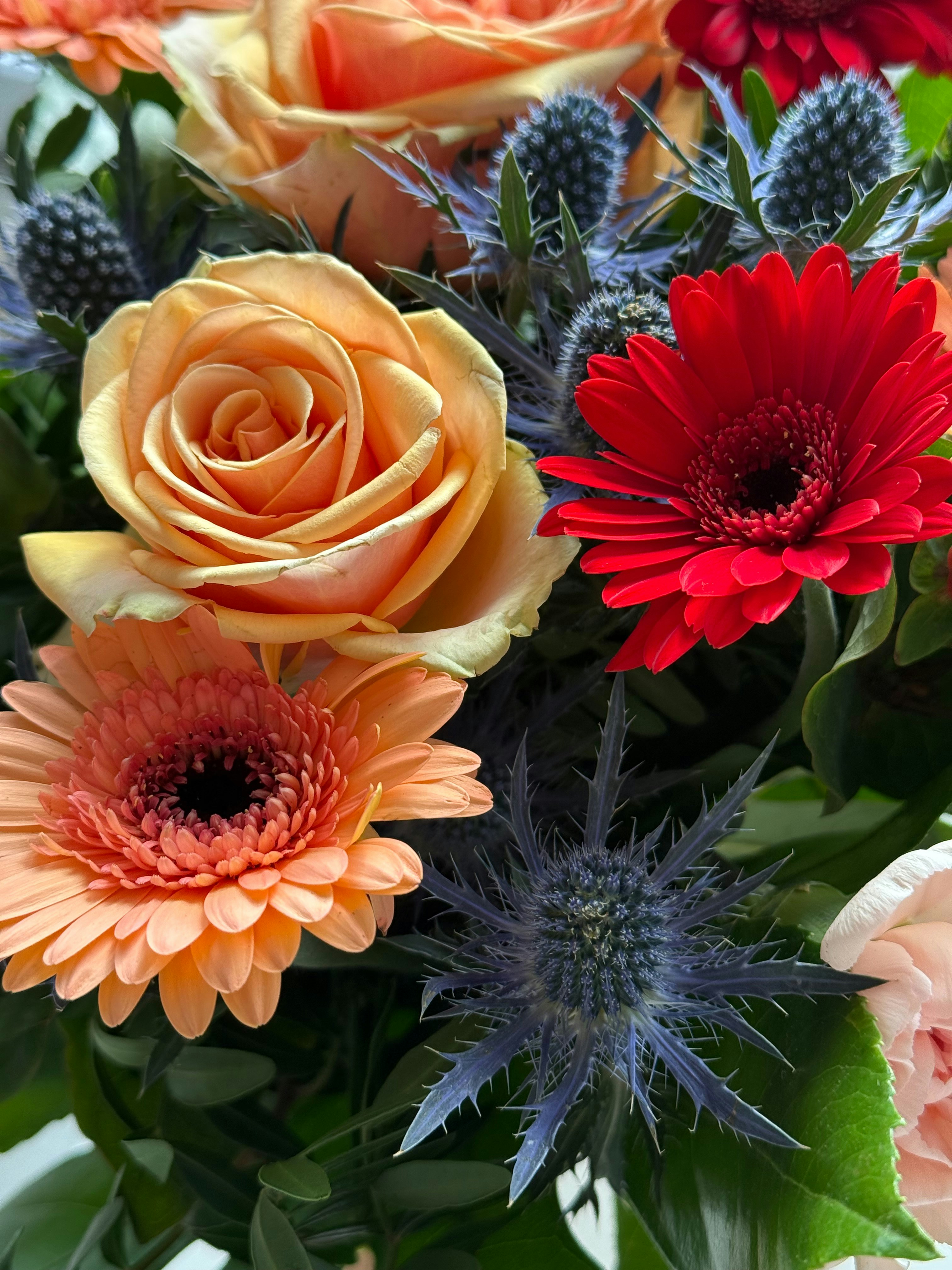 Photo by photosfromhome