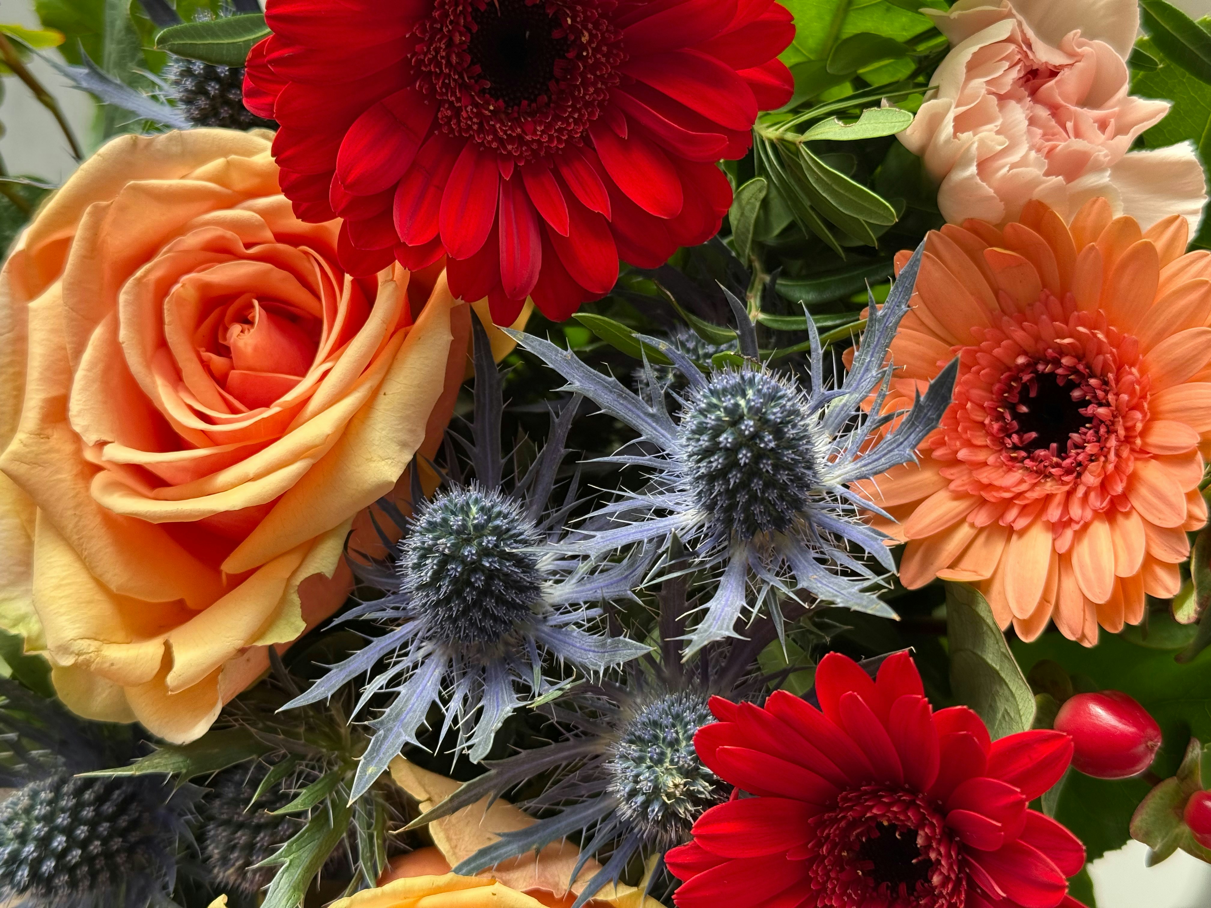 Photo by photosfromhome