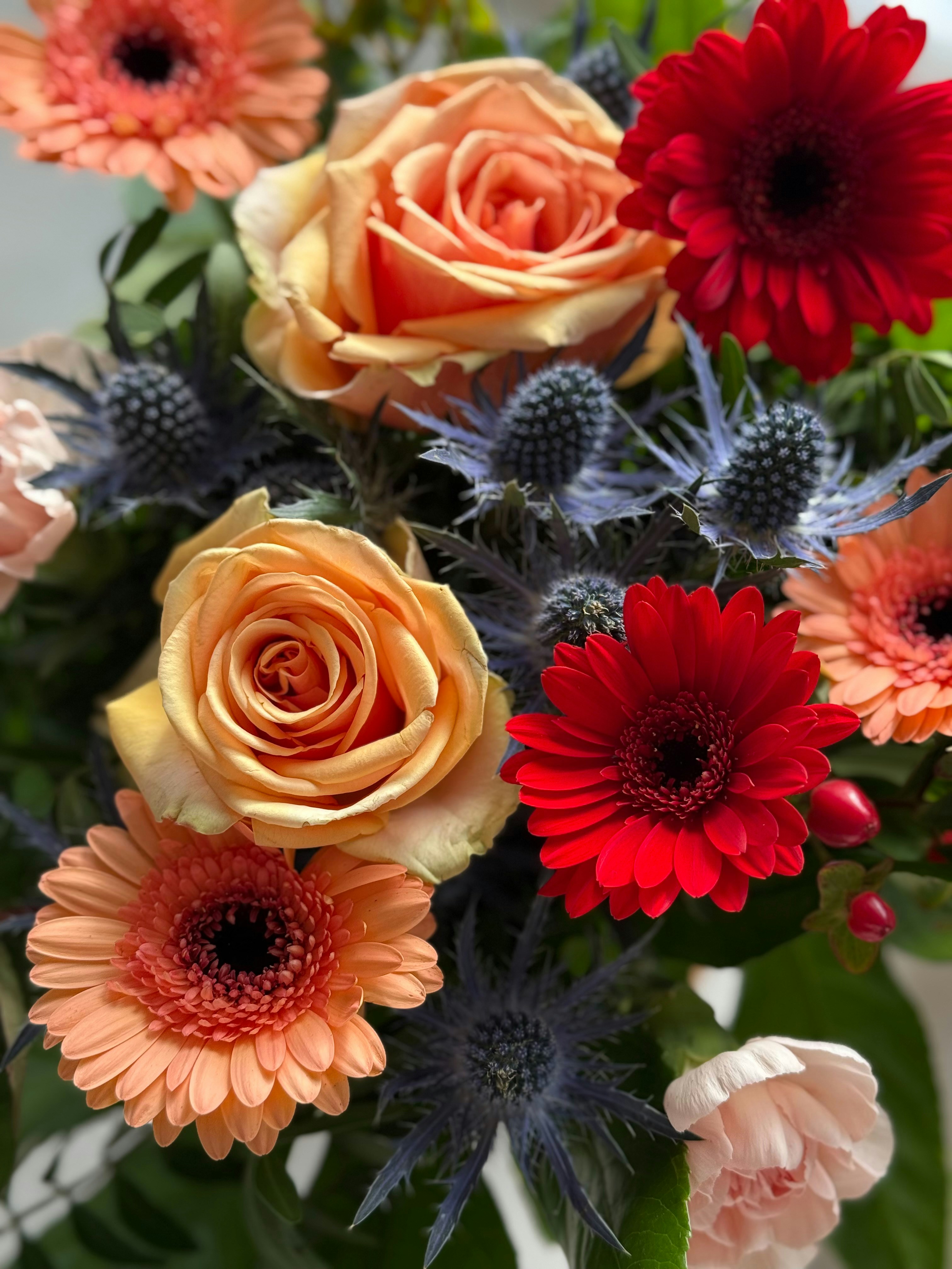 Photo by photosfromhome