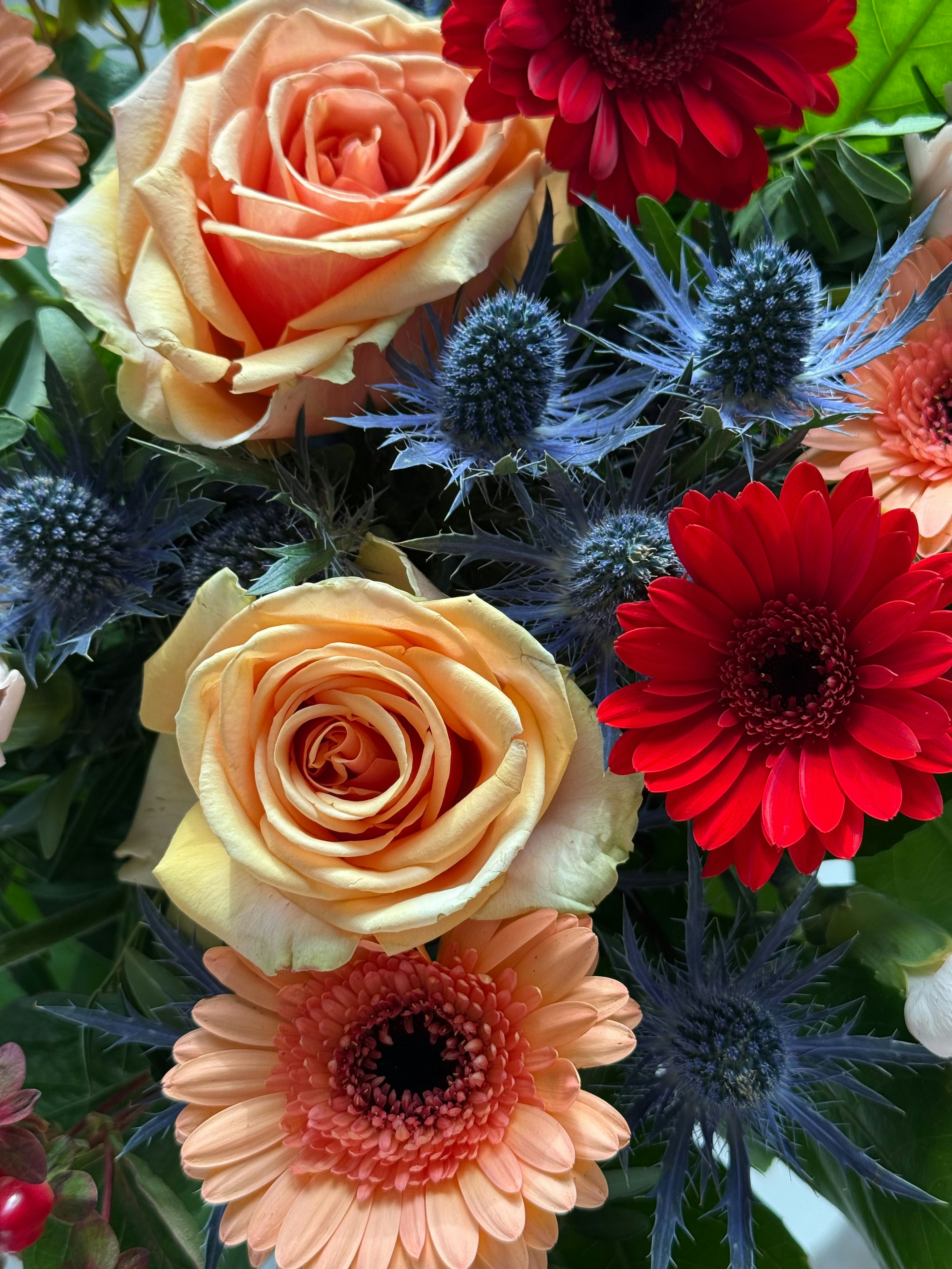 Photo by photosfromhome