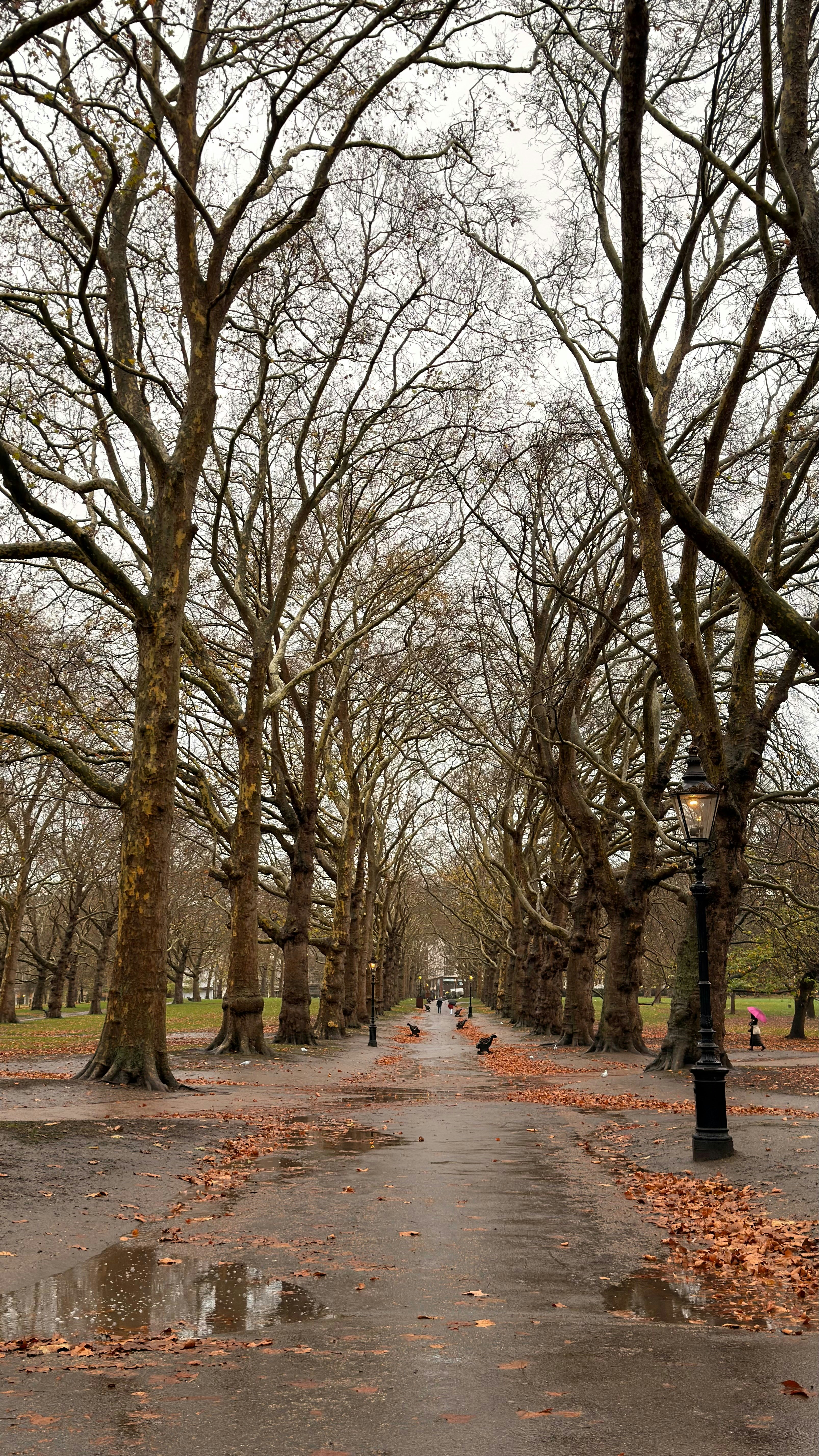 Photo by hangrybubble