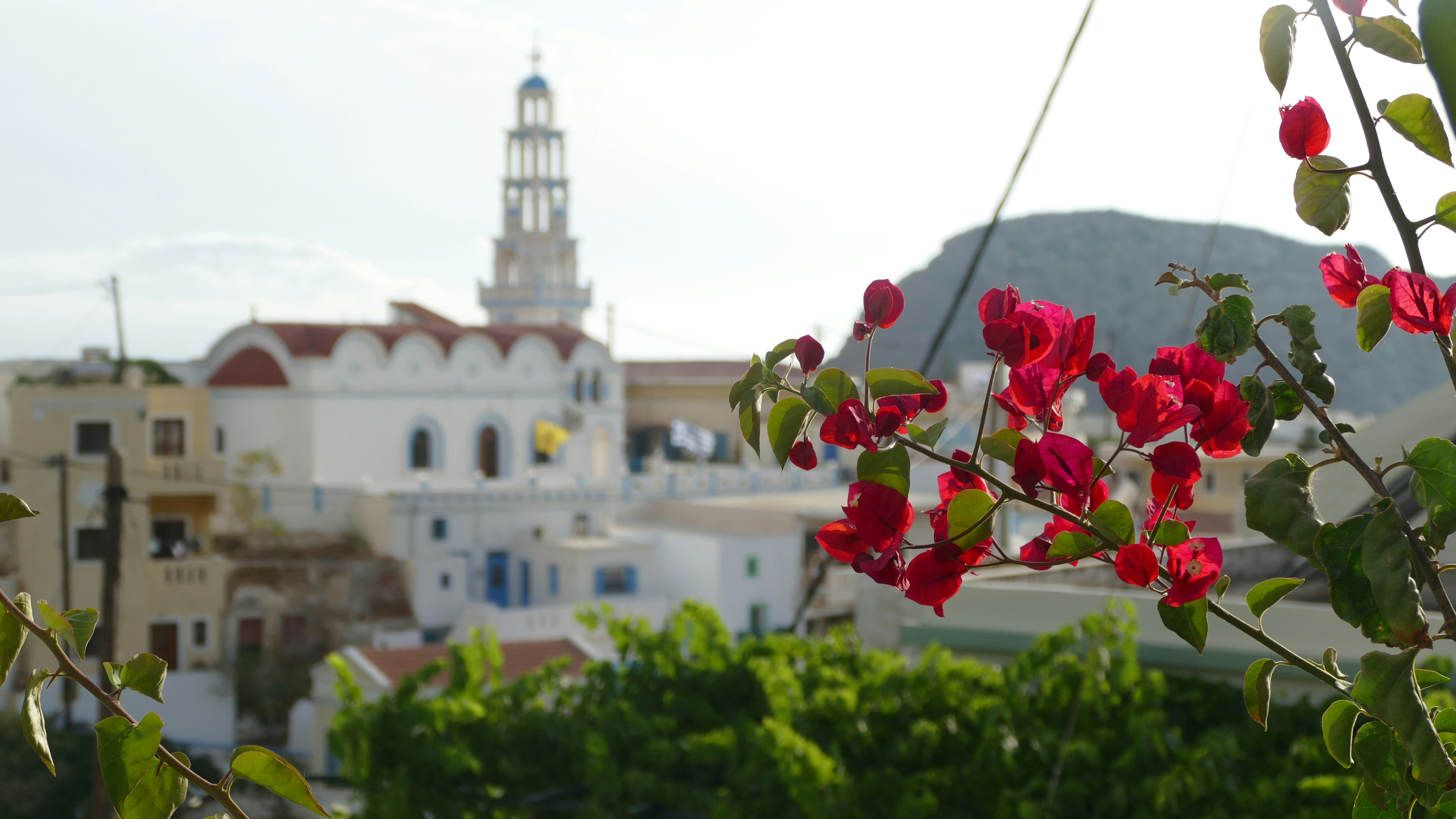 White buildings with a bell tower and red flowers.