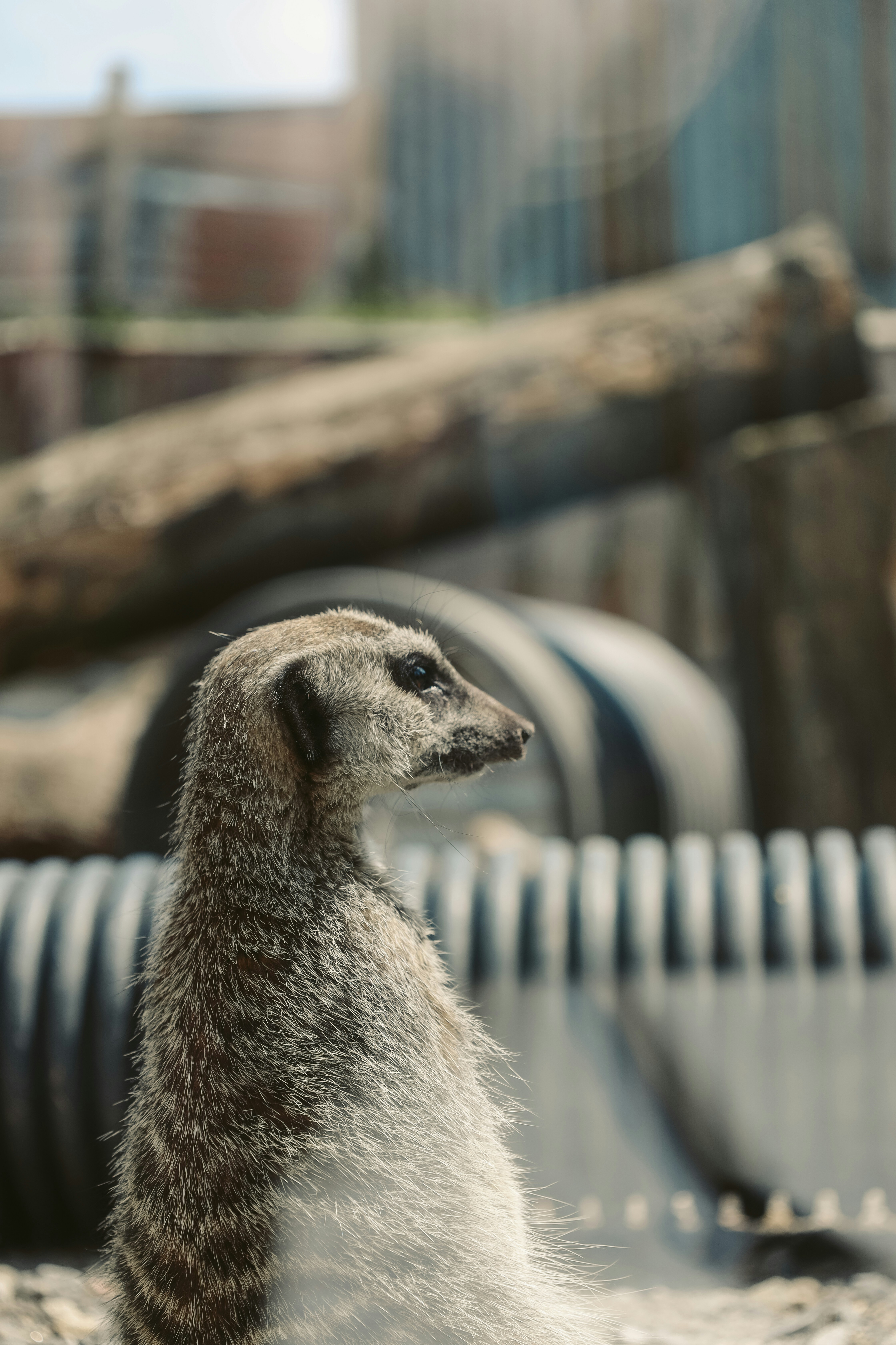 Photo by himo_beast1996