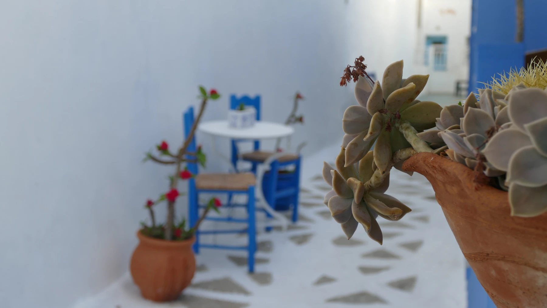 Un petit café en plein air avec des chaises et tables bleues, ambiance détendue