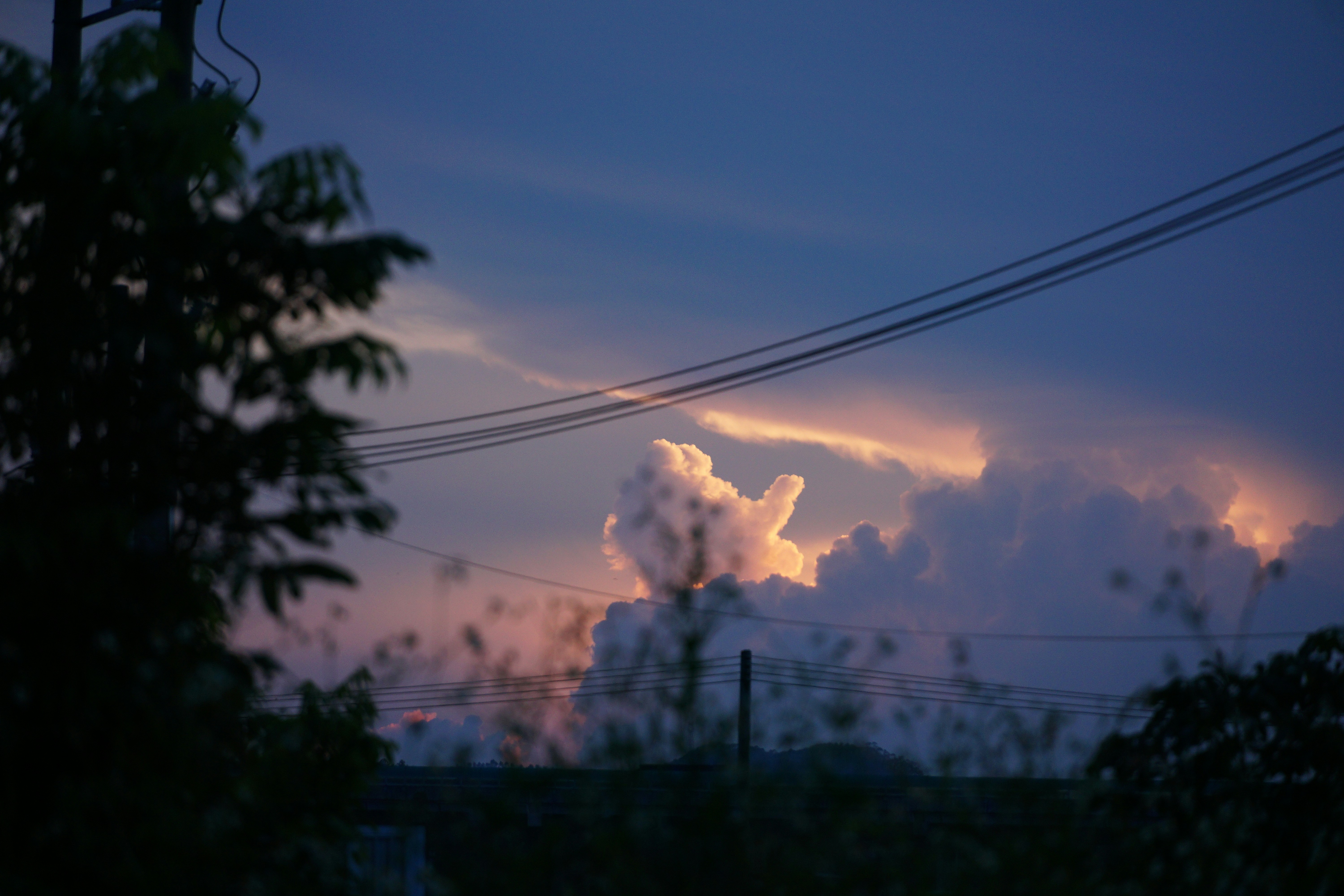 Photo by zh369_