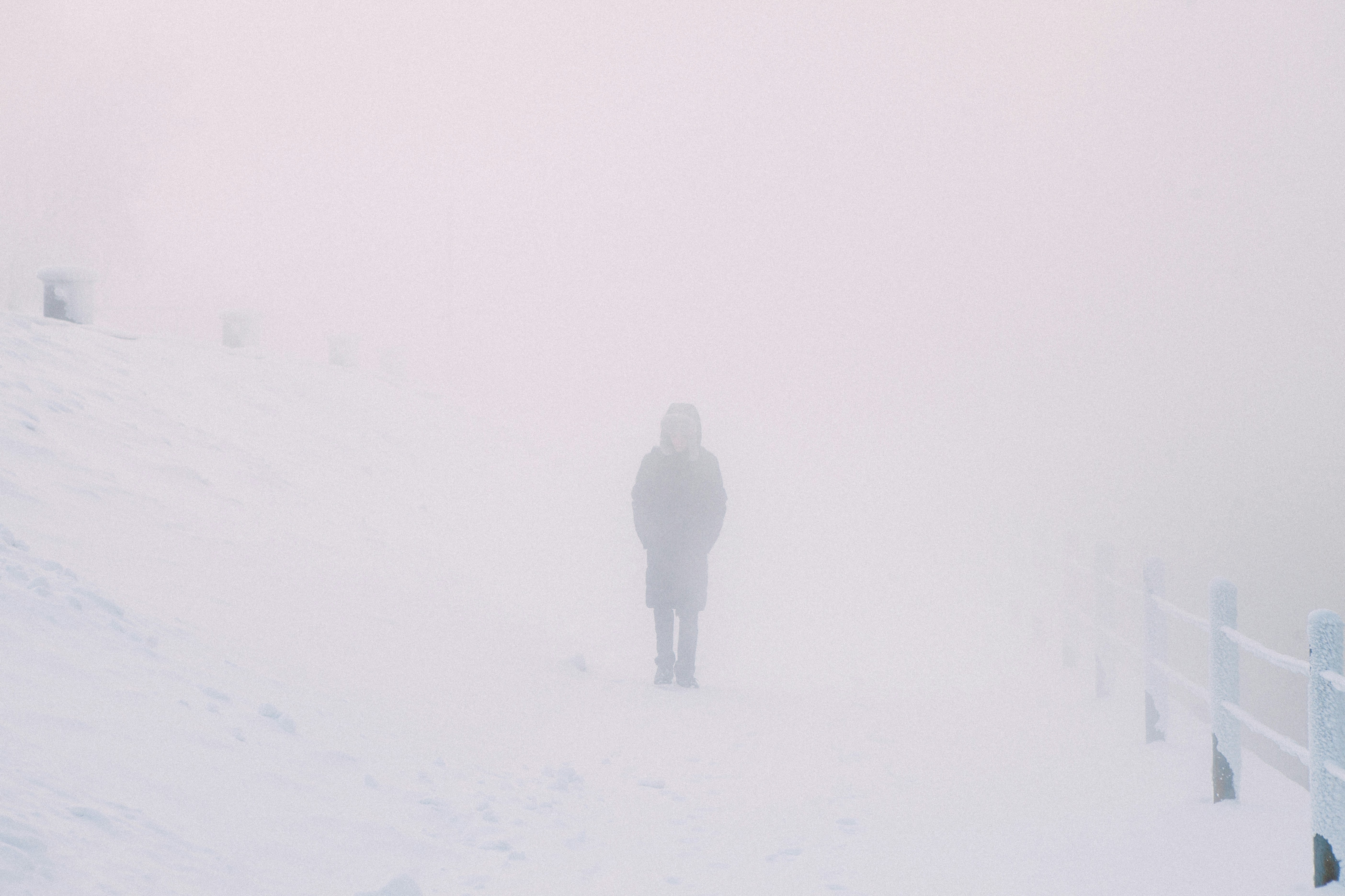 Photo by lana_zorina_ph