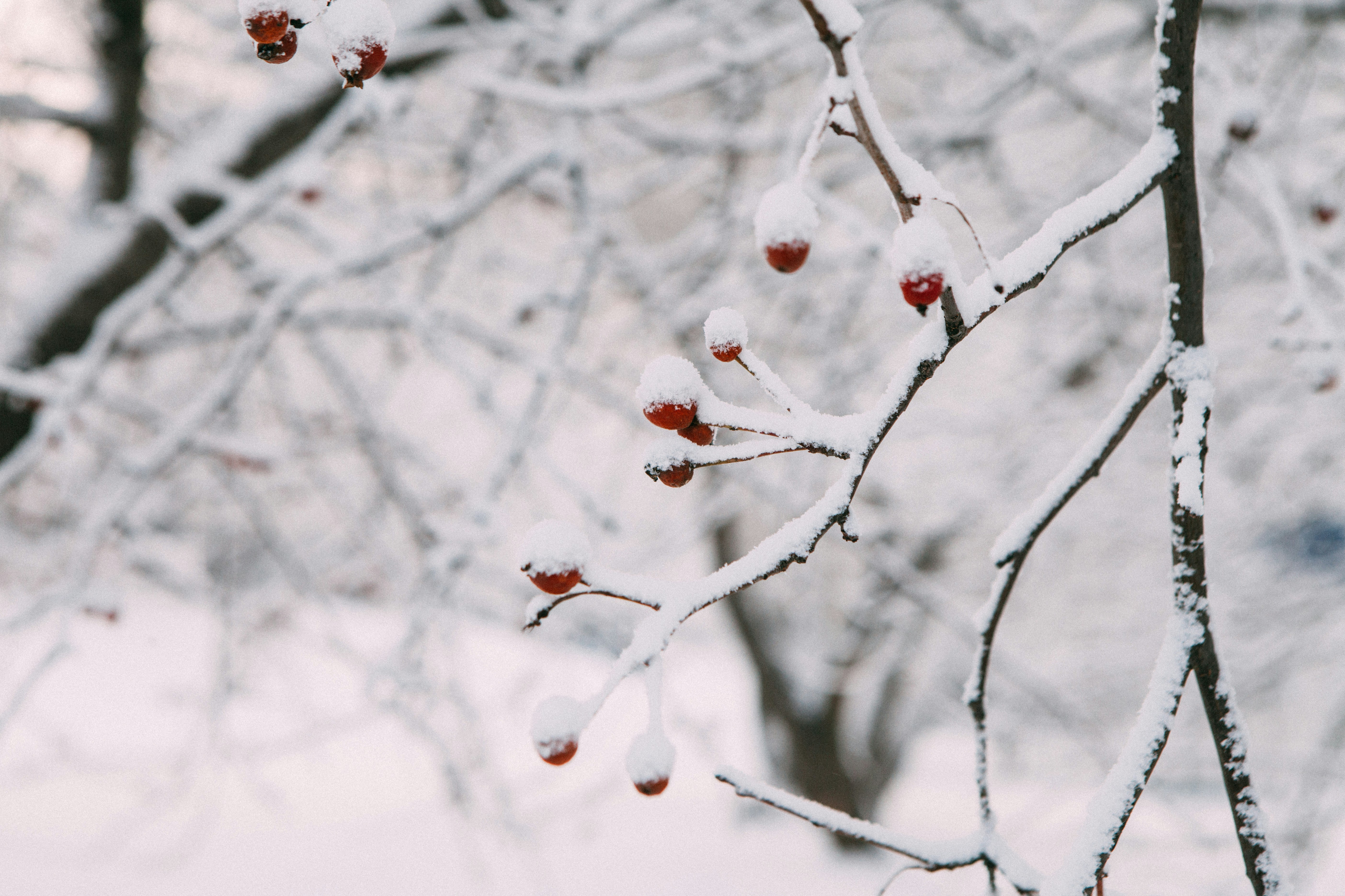 Photo by lana_zorina_ph