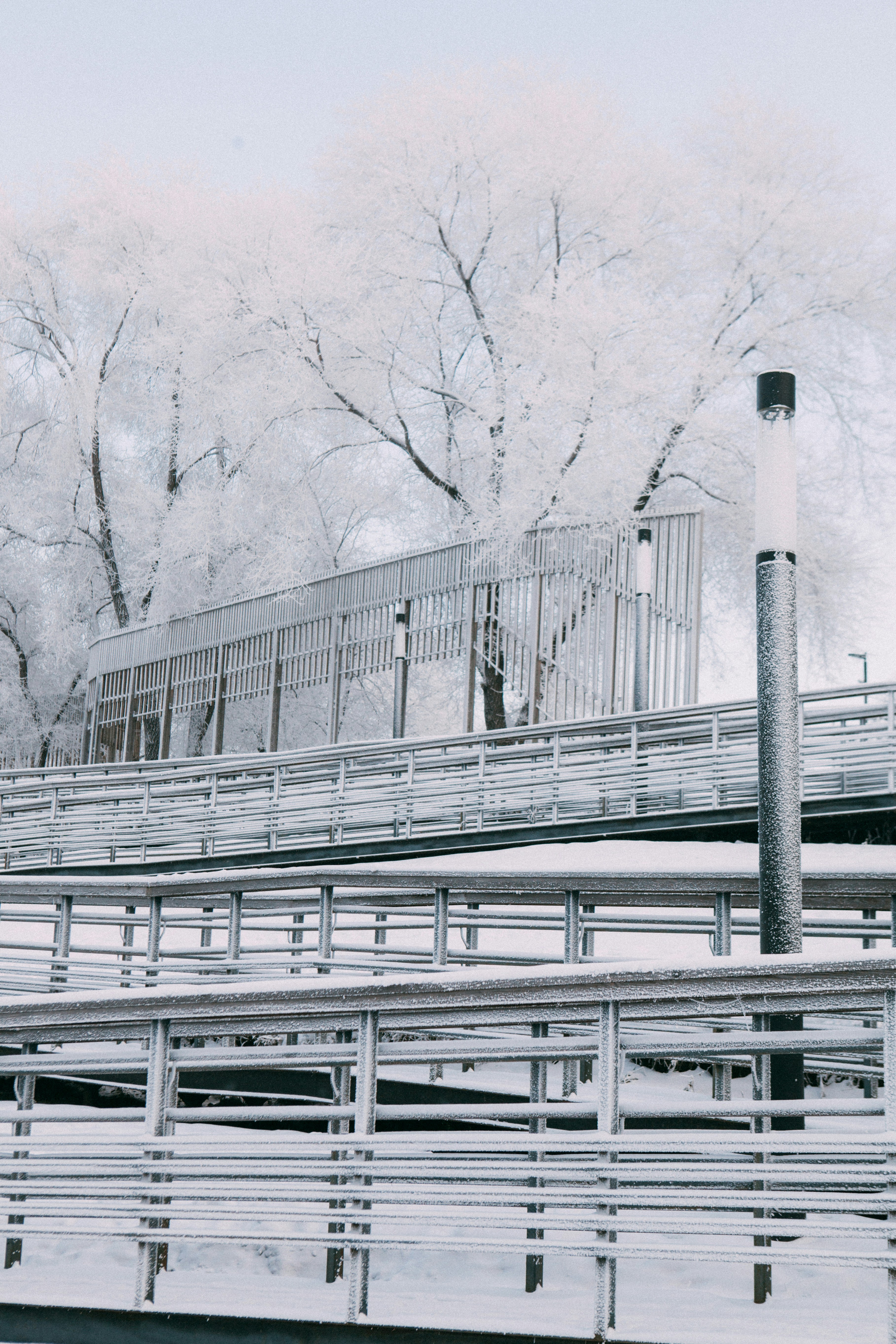 Winter scene with frosted trees and modern structure