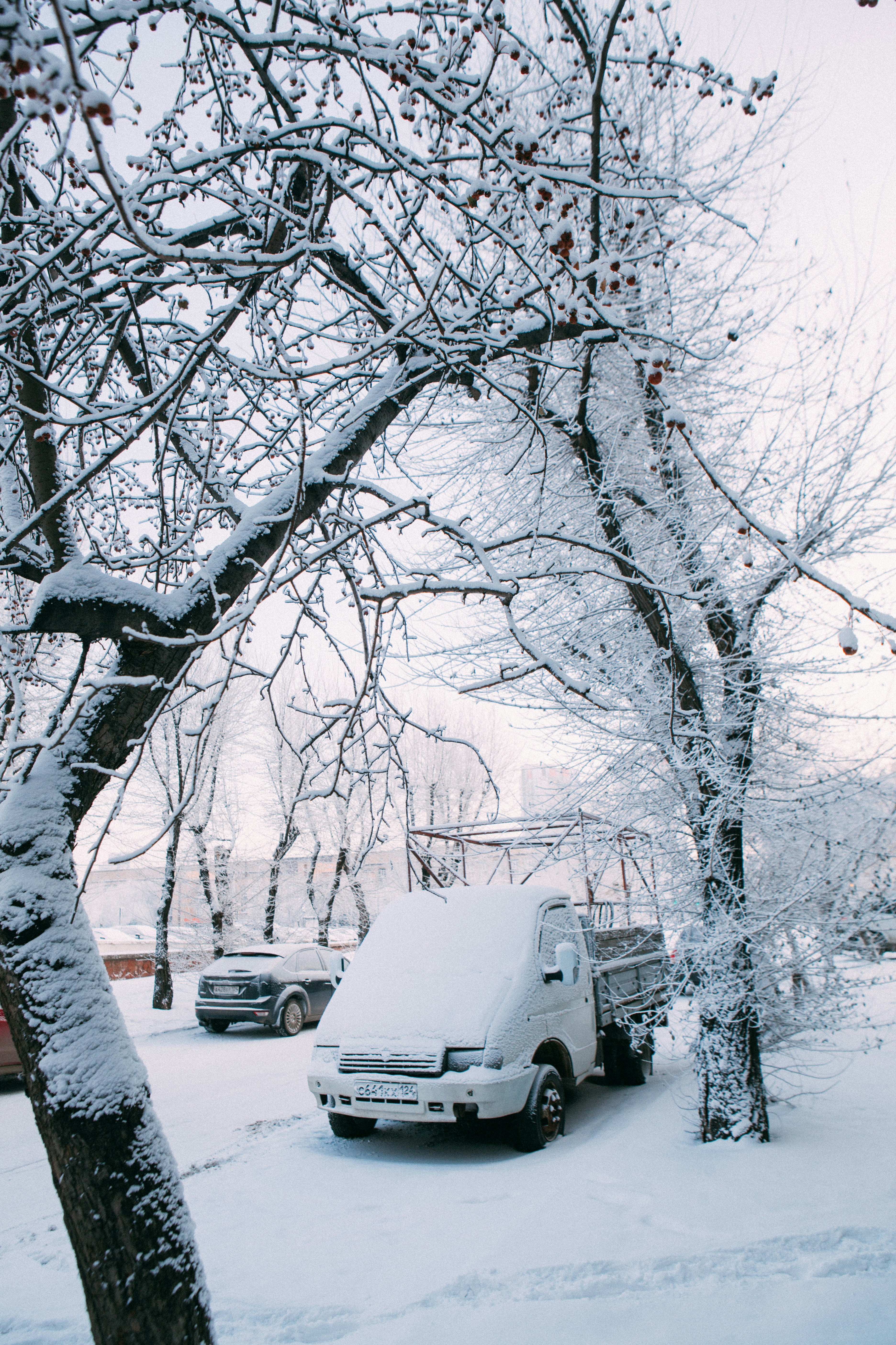 Photo by lana_zorina_ph