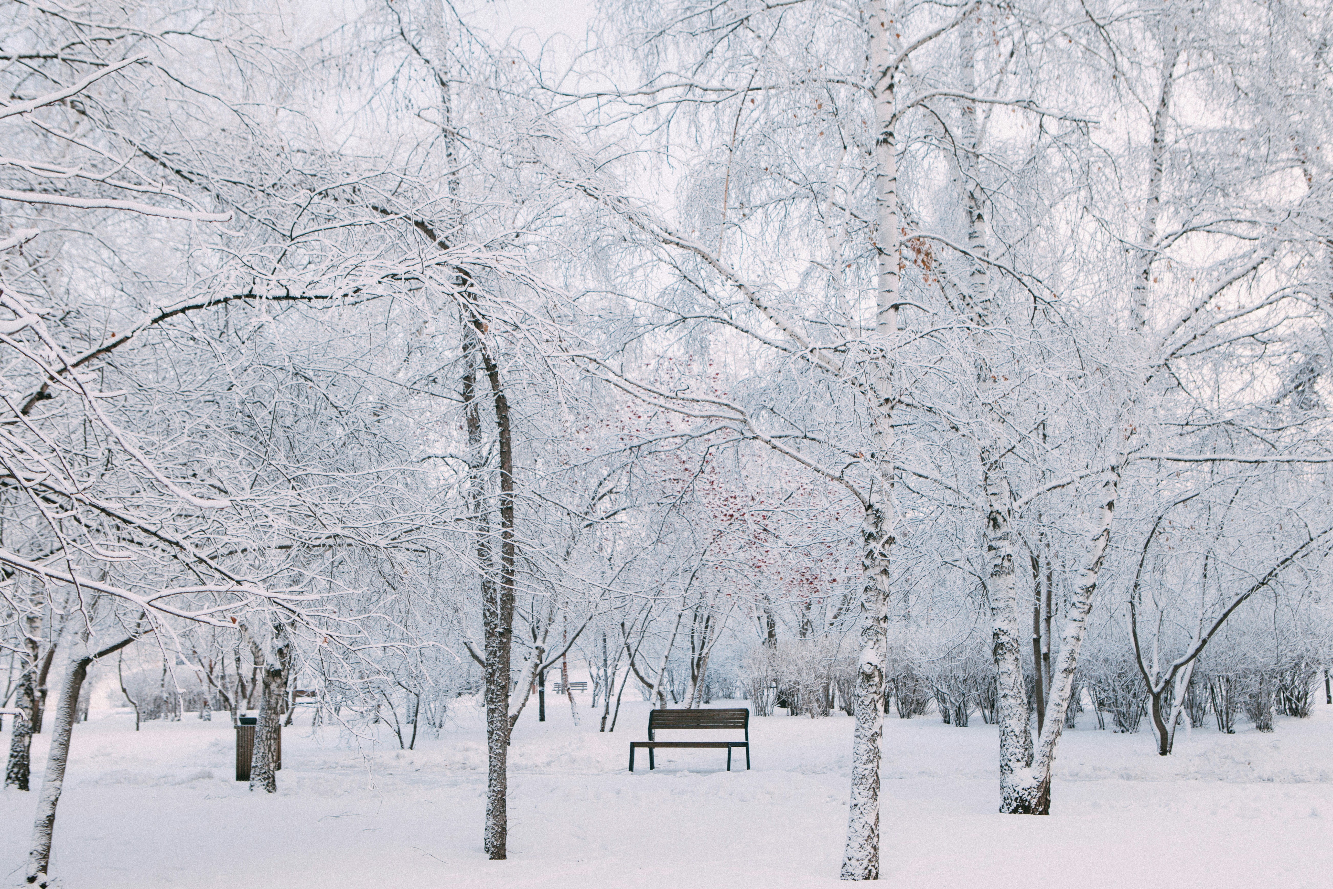 Photo by lana_zorina_ph