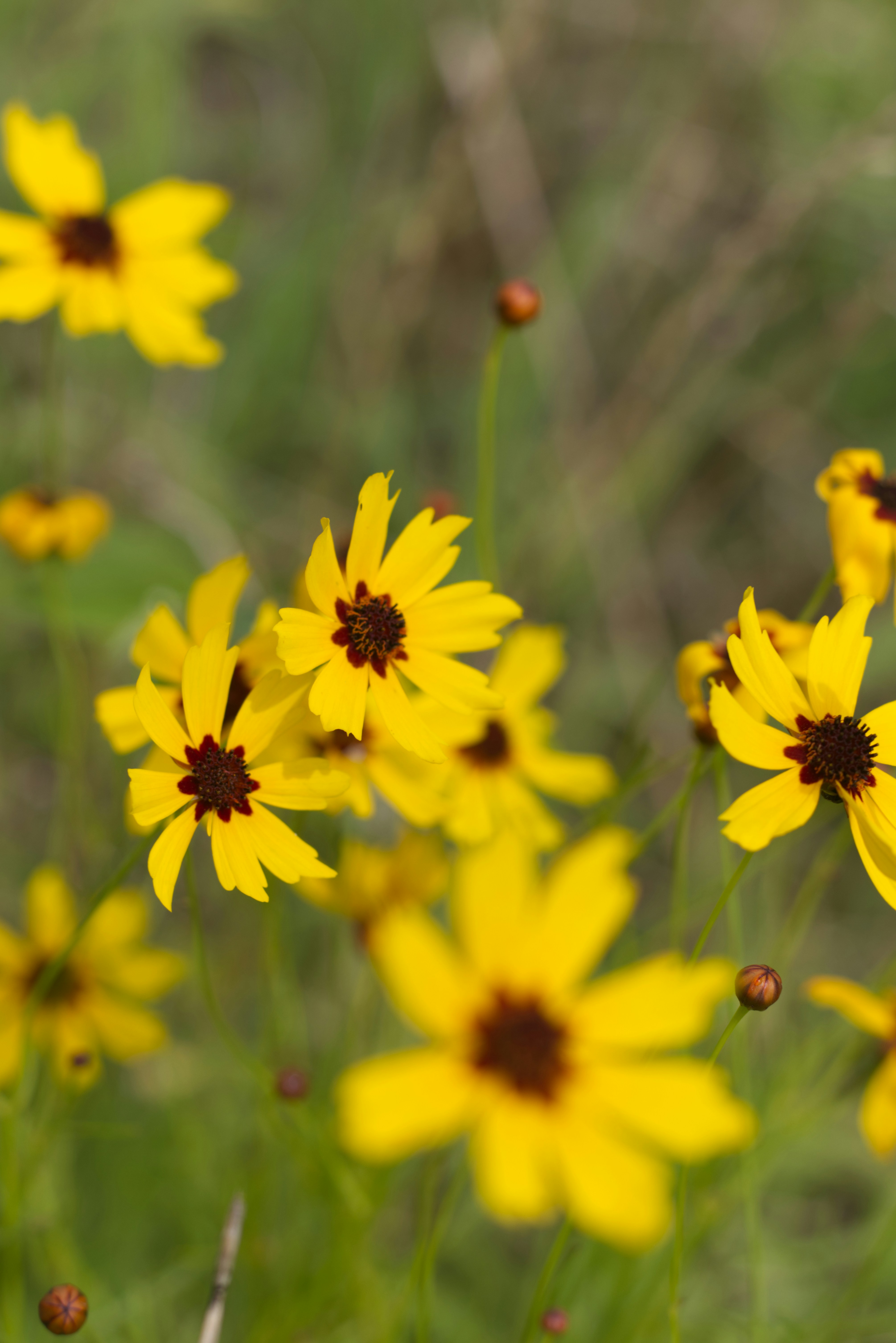 Photo by capturedbyk